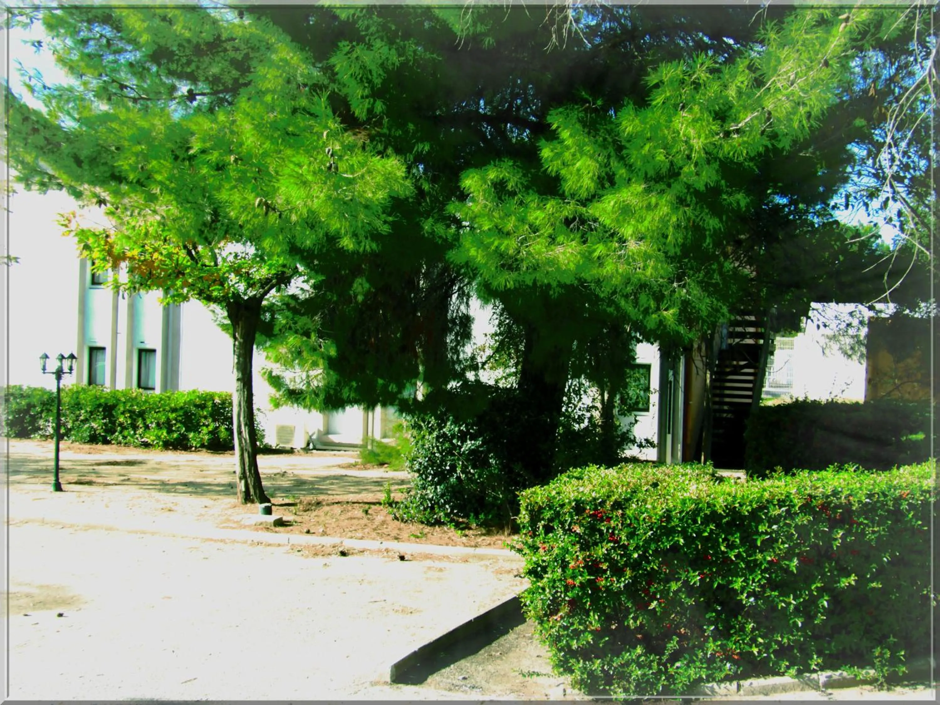 Garden view in Aix Hotel