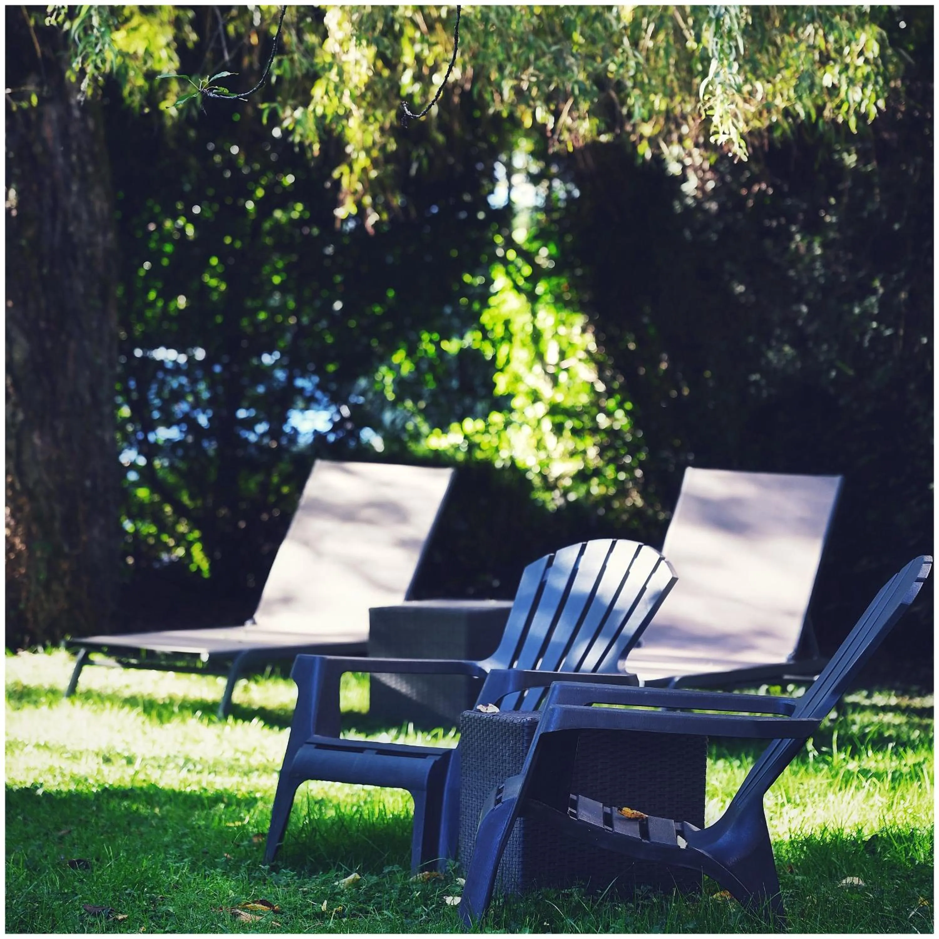 Garden in Hotel Les Terrasses