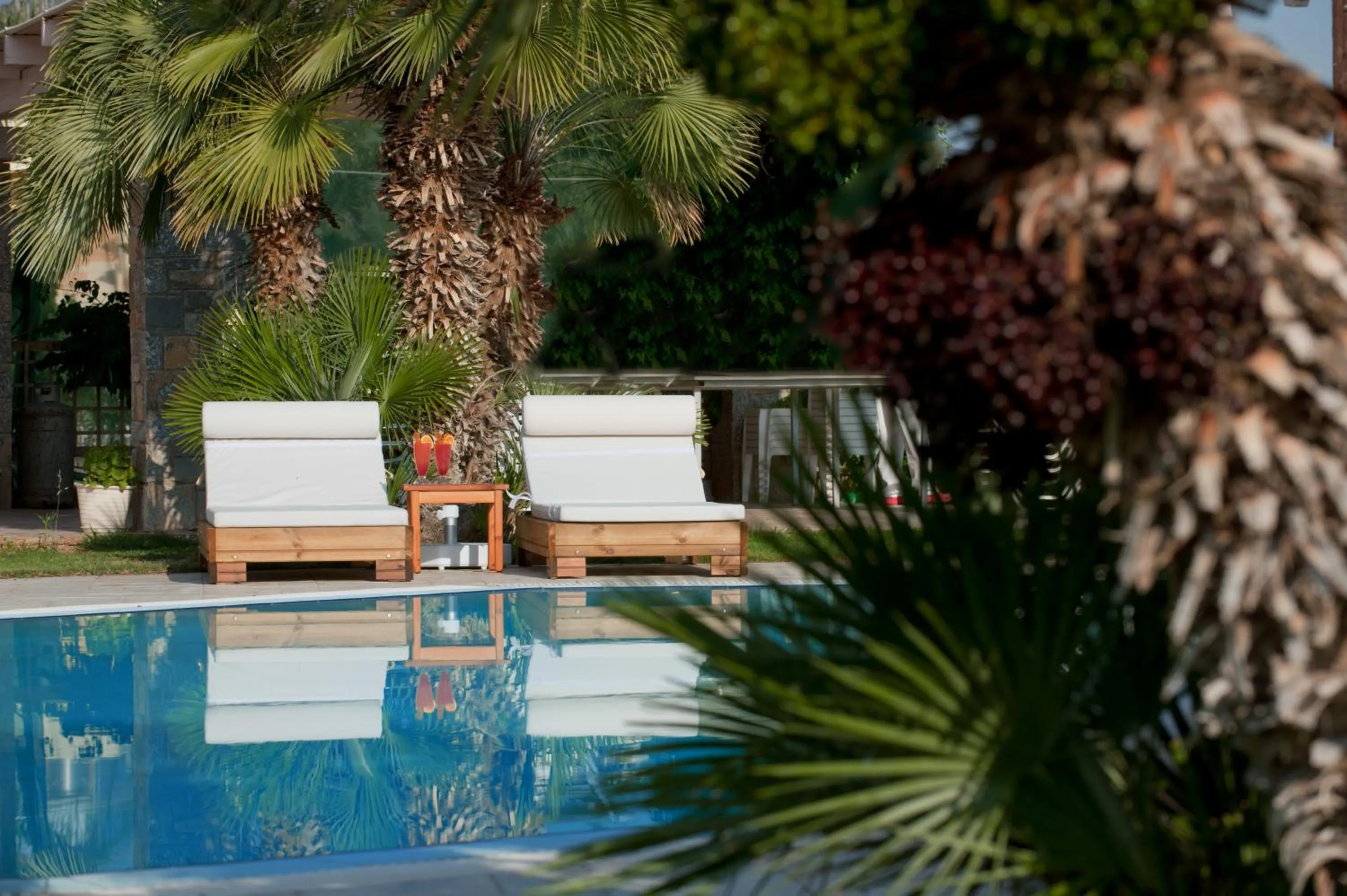 Garden in Socrates Hotel Malia Beach