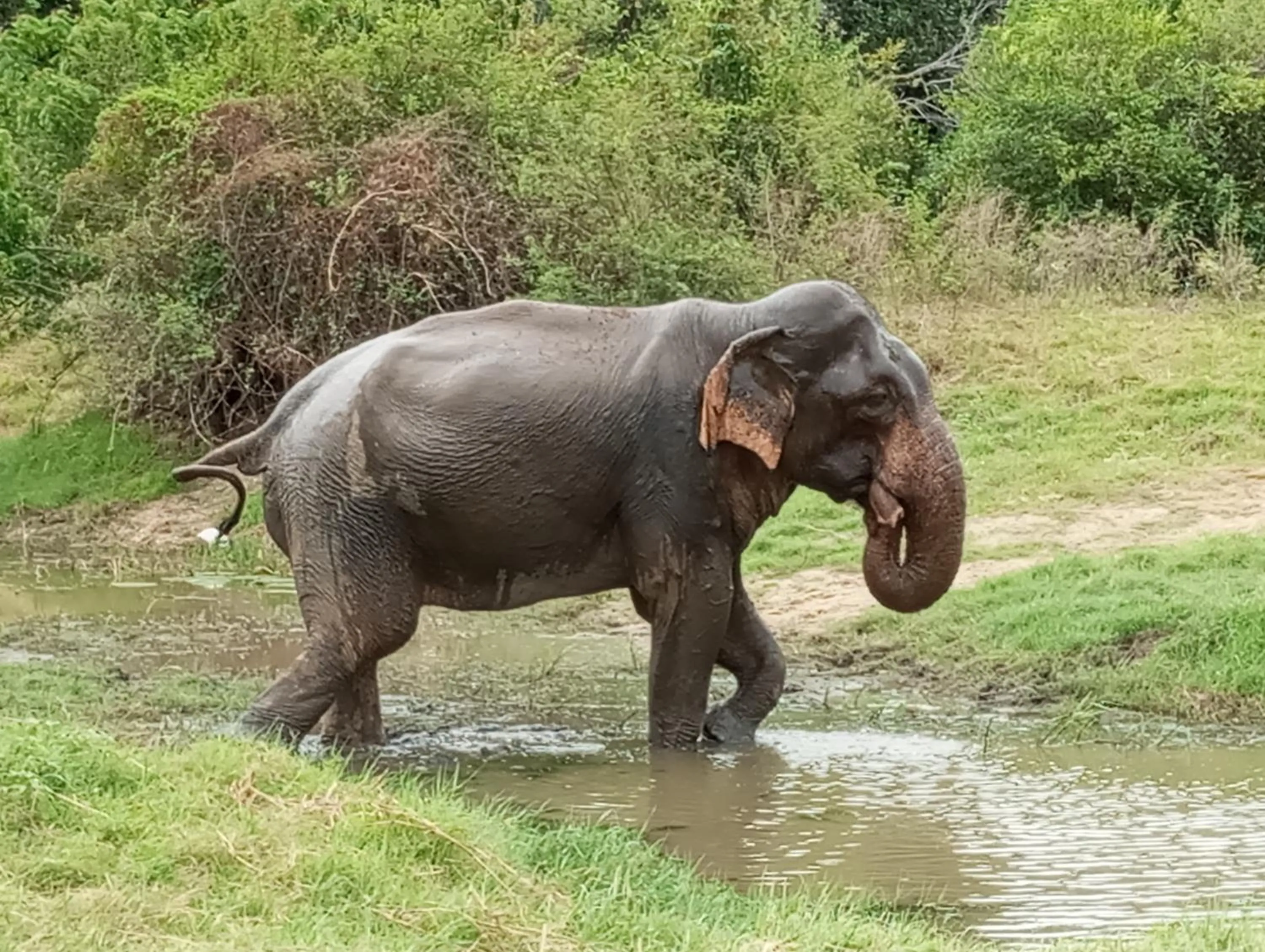 Day in River Nature Park