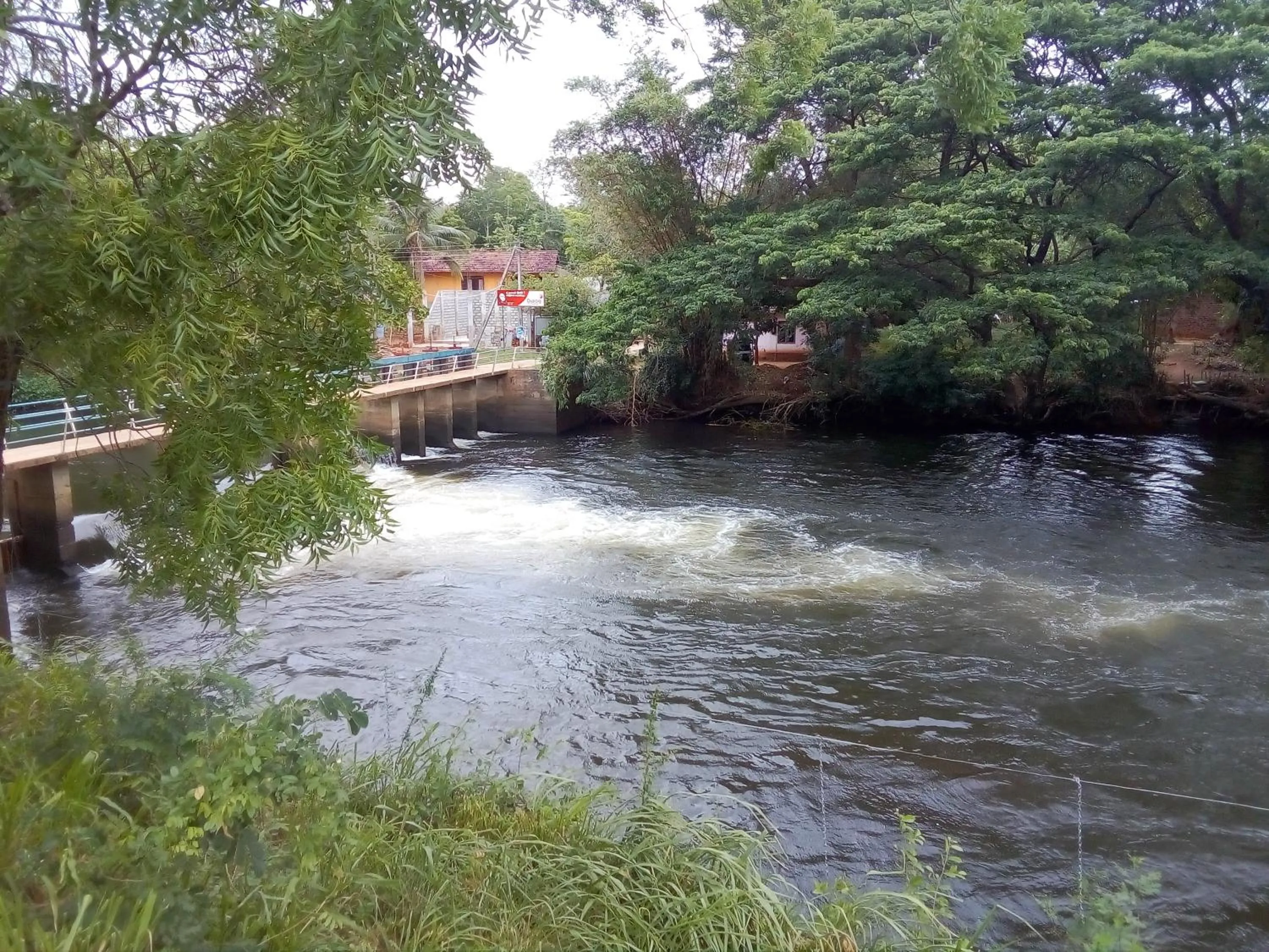 Day in River Nature Park