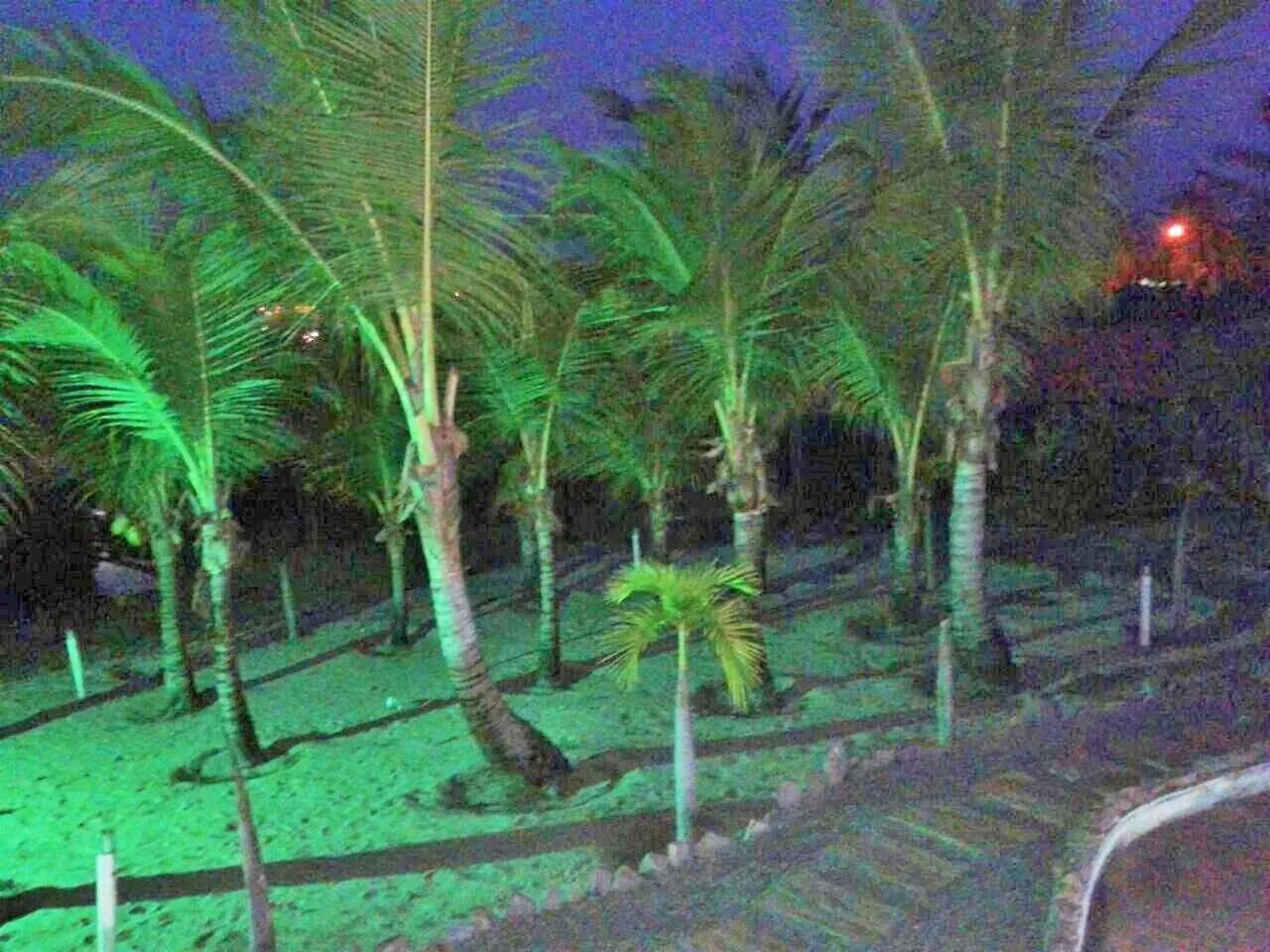 Garden in Pousada Cultural Canto dos Poetas