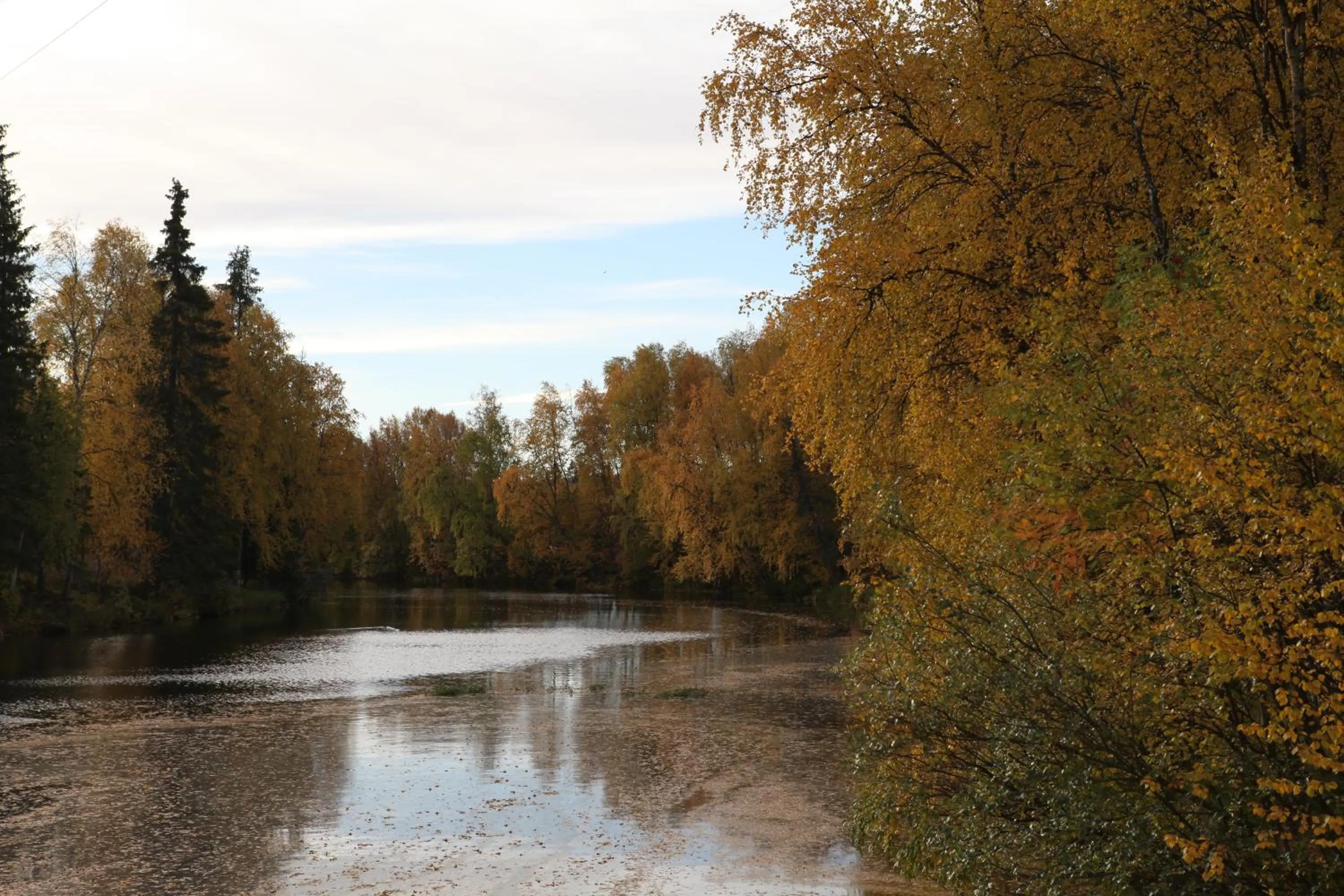 View (from property/room) in Wilderness Hotel Nellim & Igloos