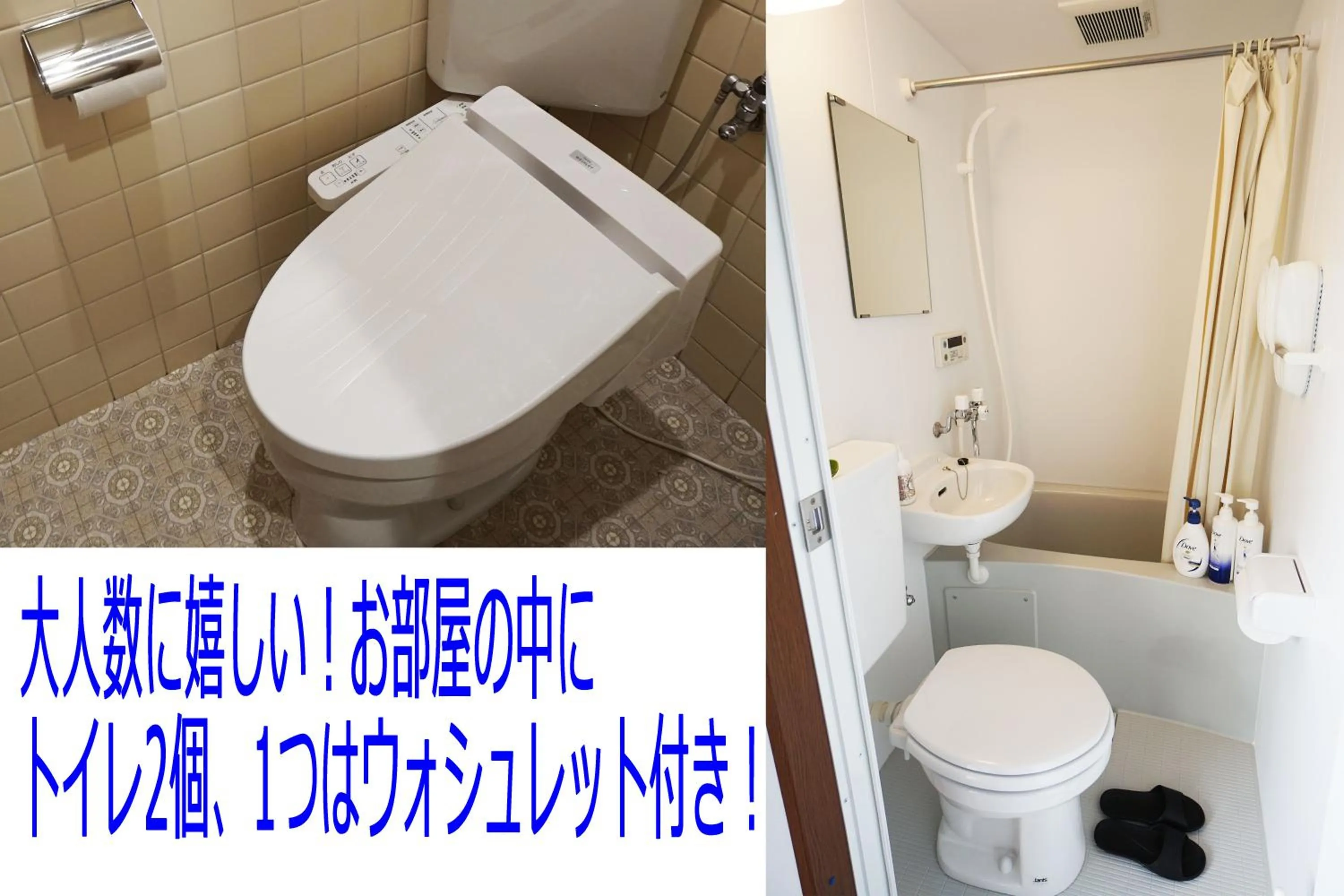 Toilet in Izu no Ie UNO
