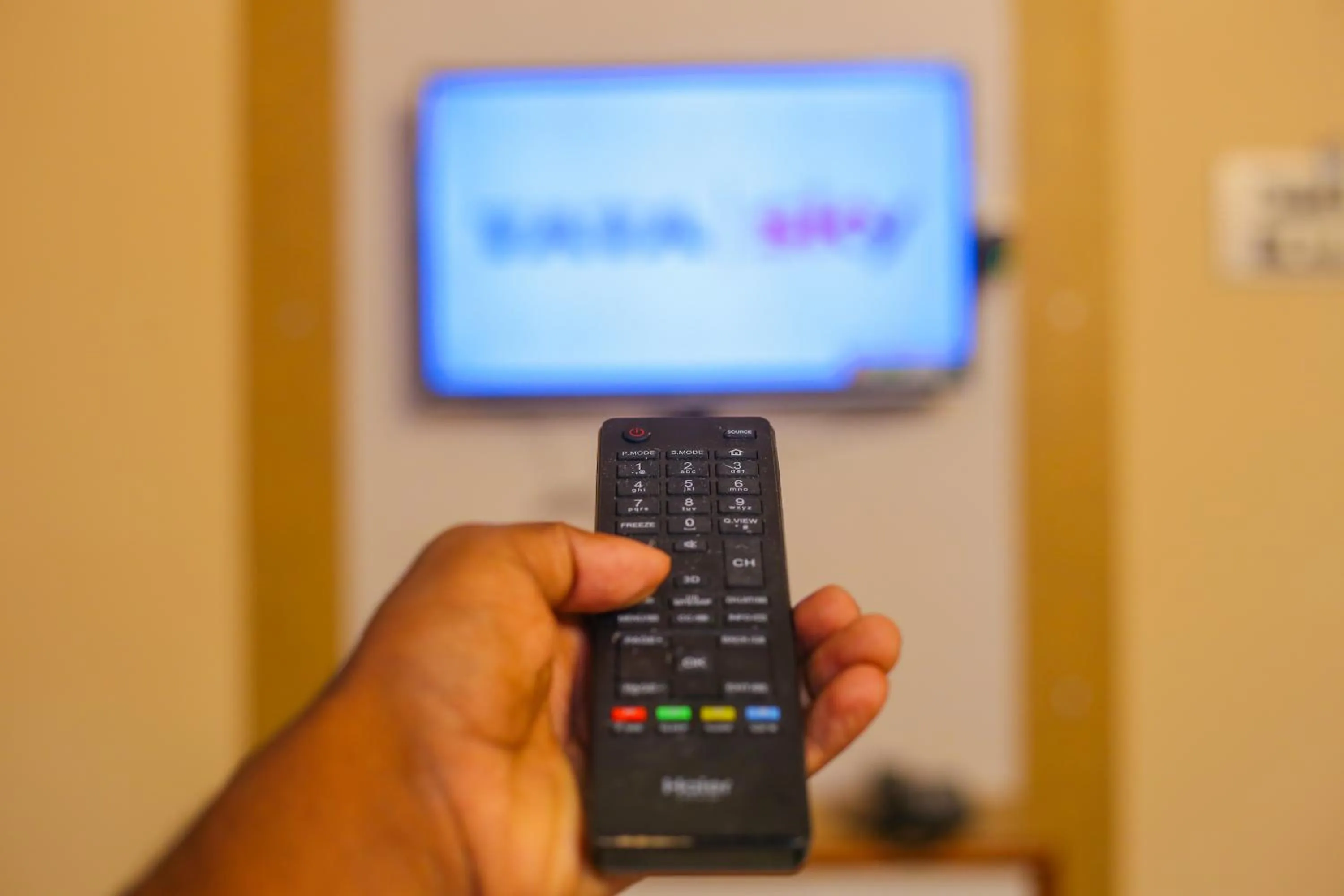 TV and multimedia in P A Resort