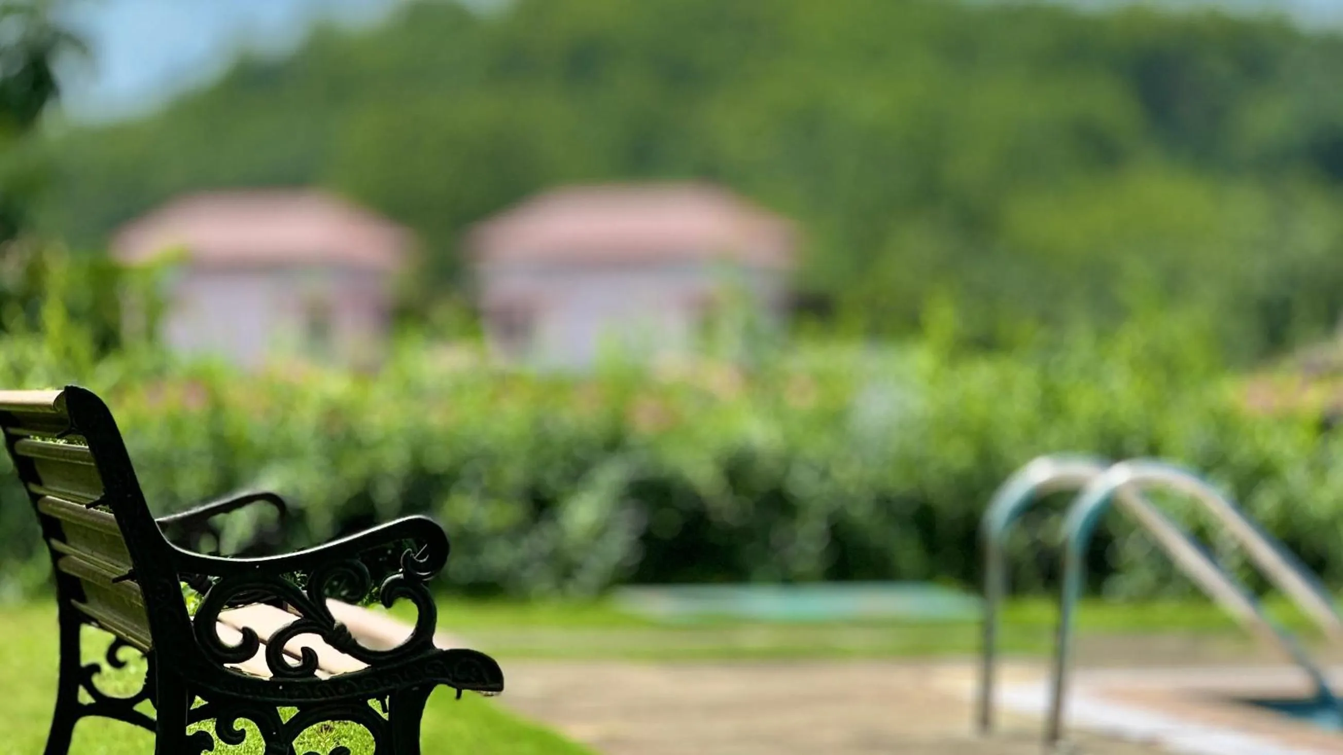 Garden in Hotel Sadhana Executive