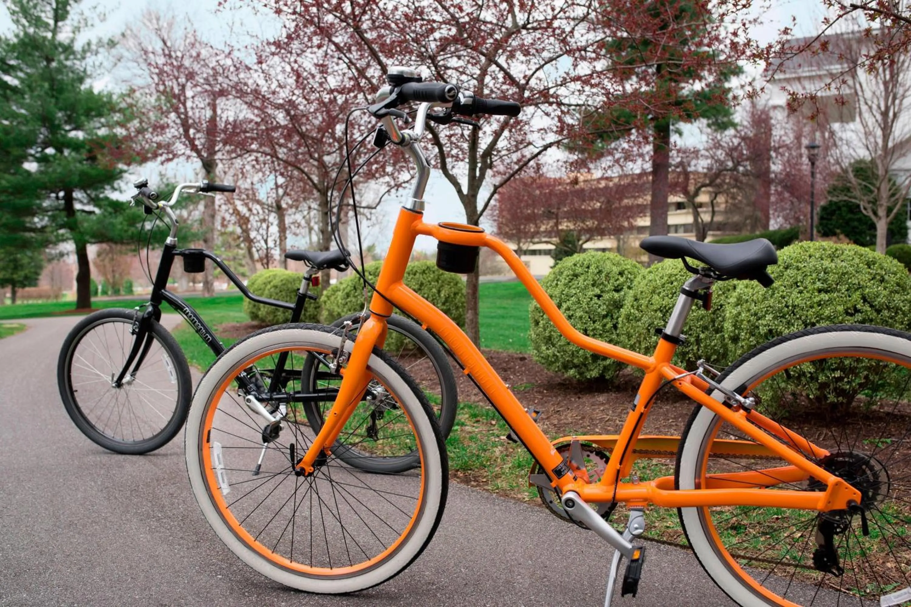 Other in Marriott Lexington Griffin Gate Golf Resort & Spa