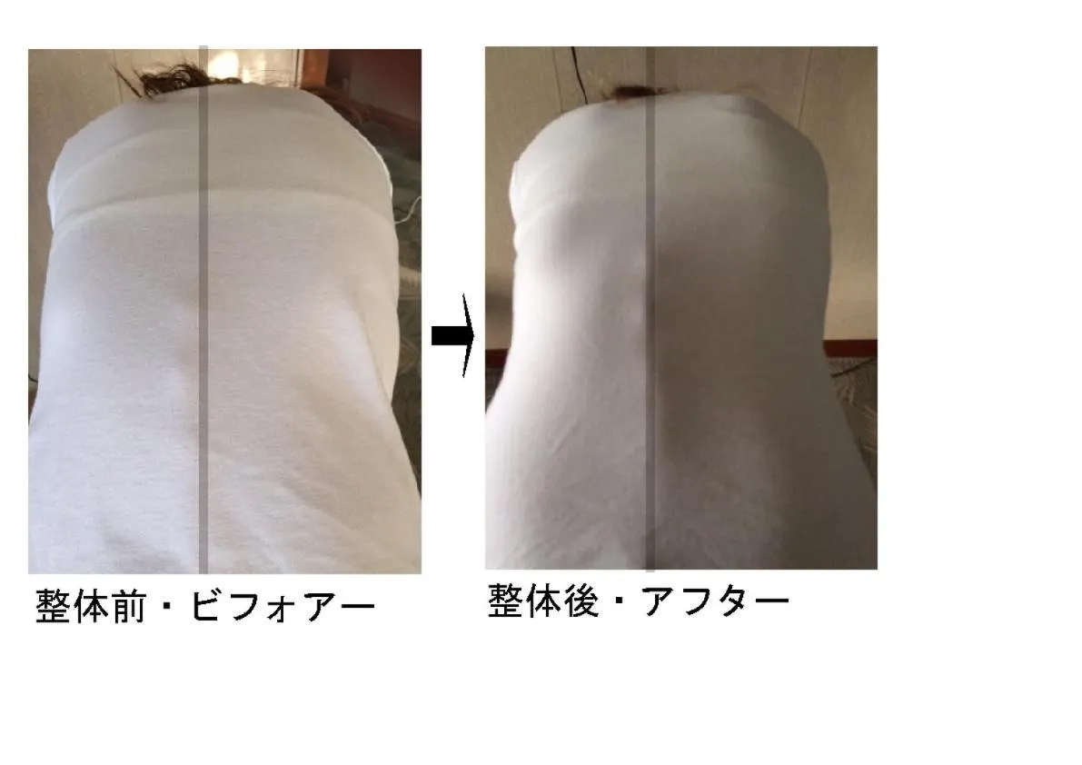 Property building in Body Balance House