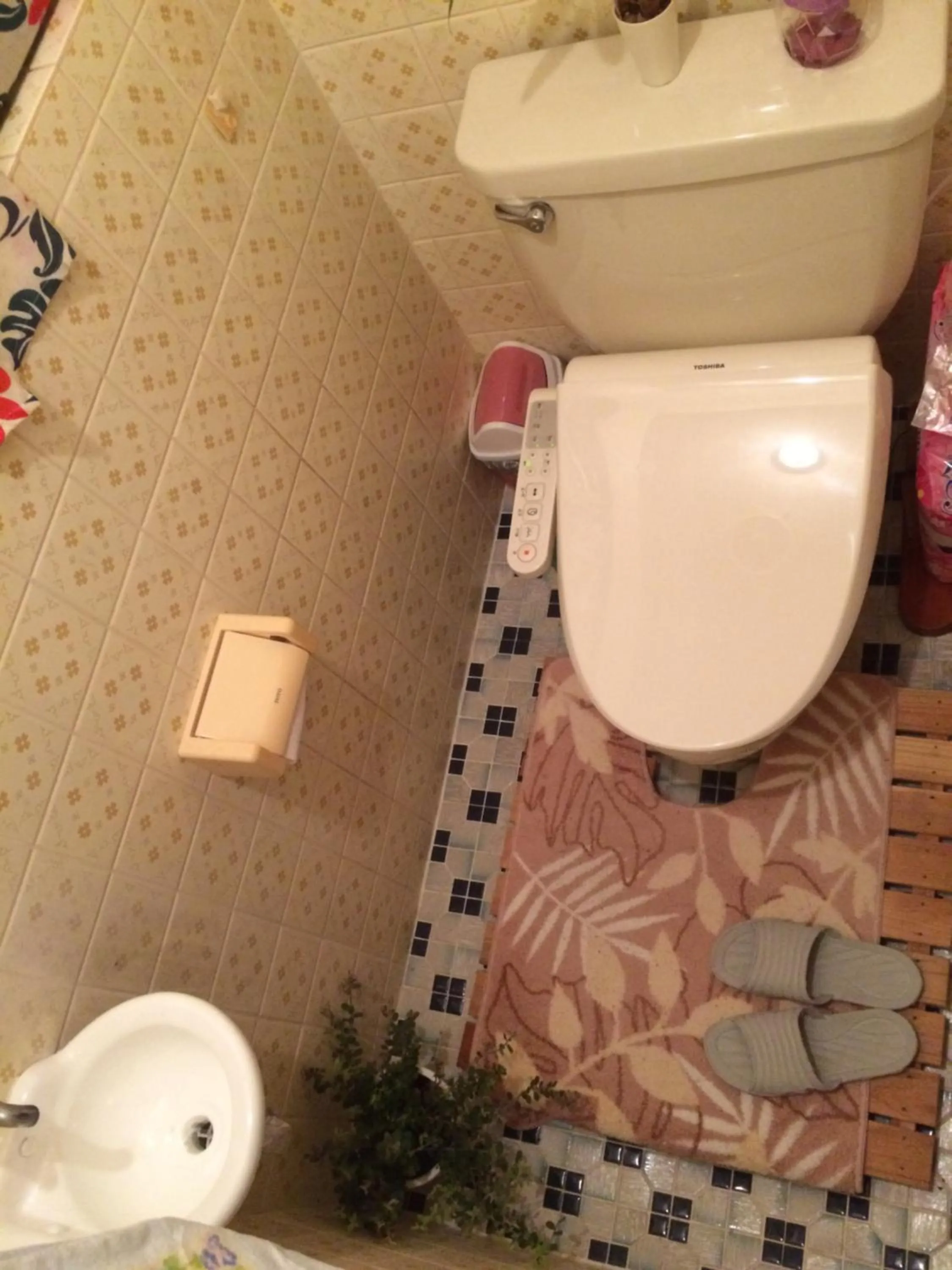 Toilet in Body Balance House