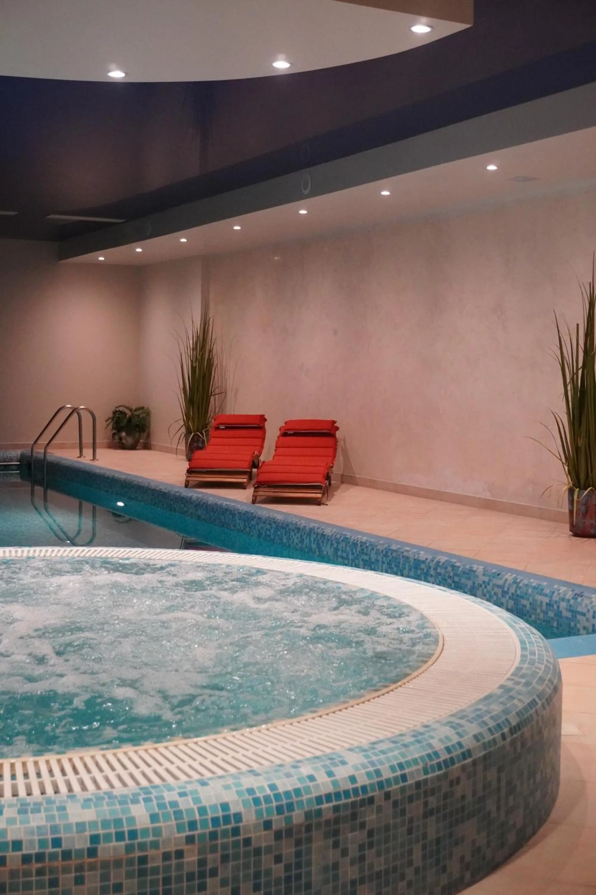 Hot Tub in VILNIUS PARK PLAZA HOTEL & SPA, Restaurant, Panorama Bar, Conference & Banquet Center