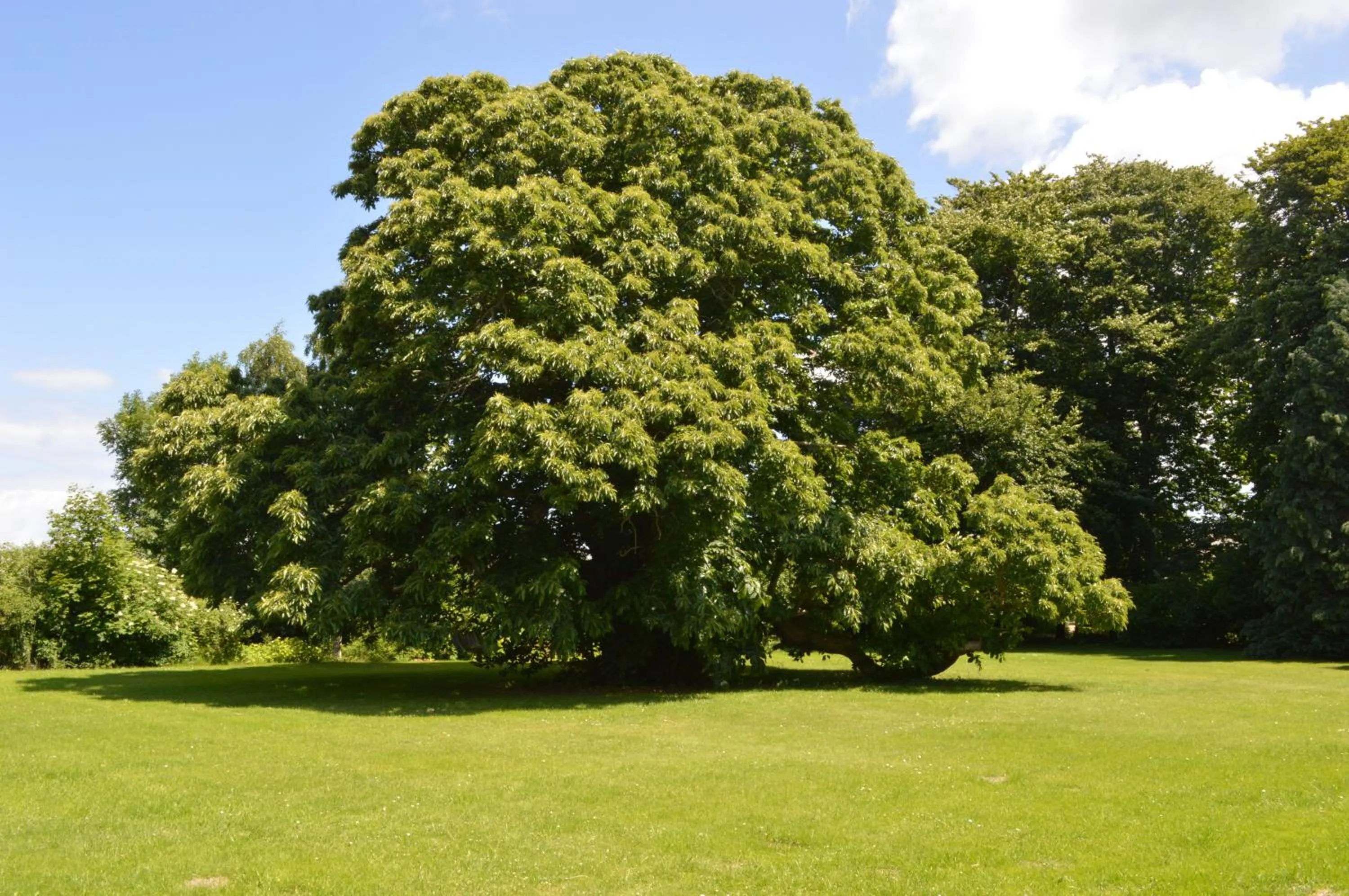 Skrøbelev Gods Manor House
