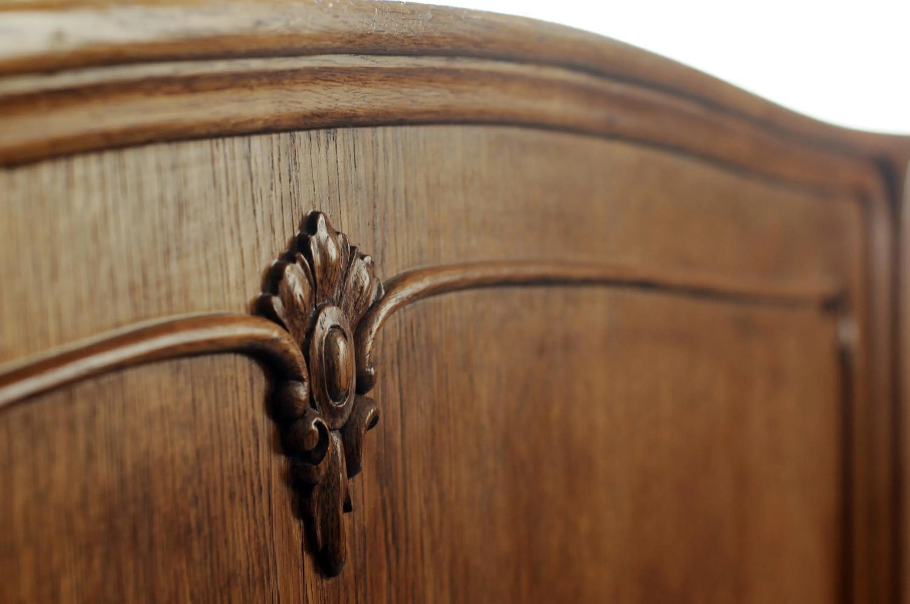 Decorative detail in Amicus Hotel