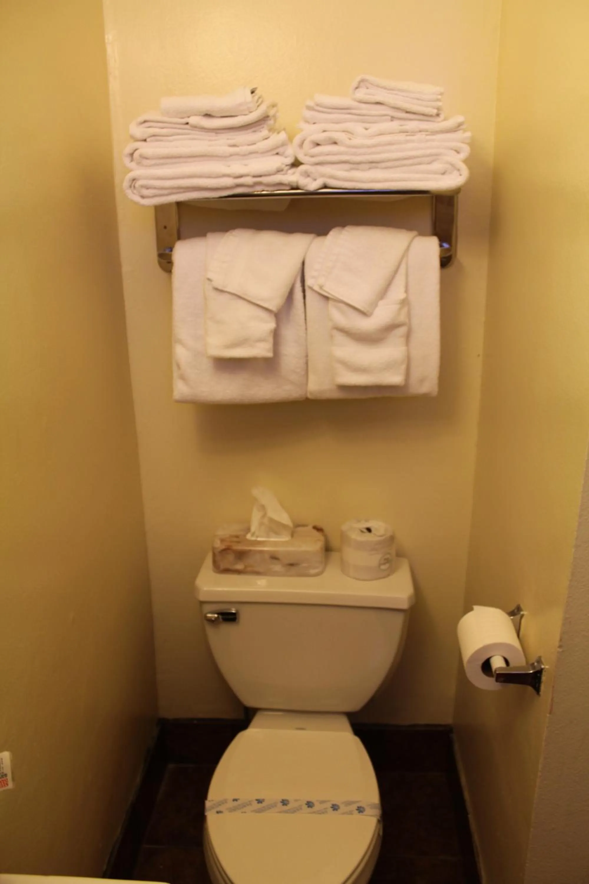 Bathroom in Riverside Inn & Suites Santa Cruz