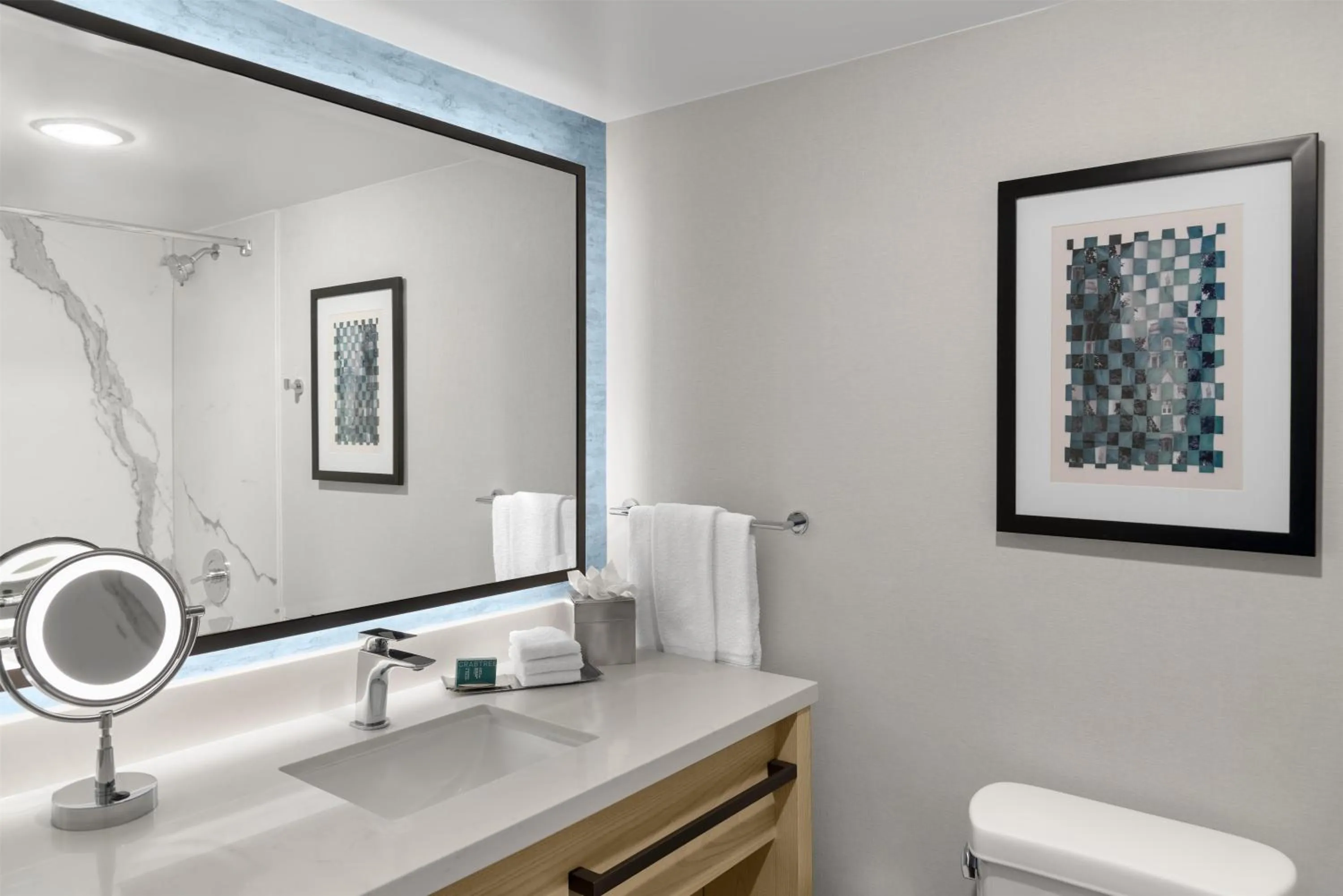 Bathroom in DoubleTree by Hilton Hotel South Bend