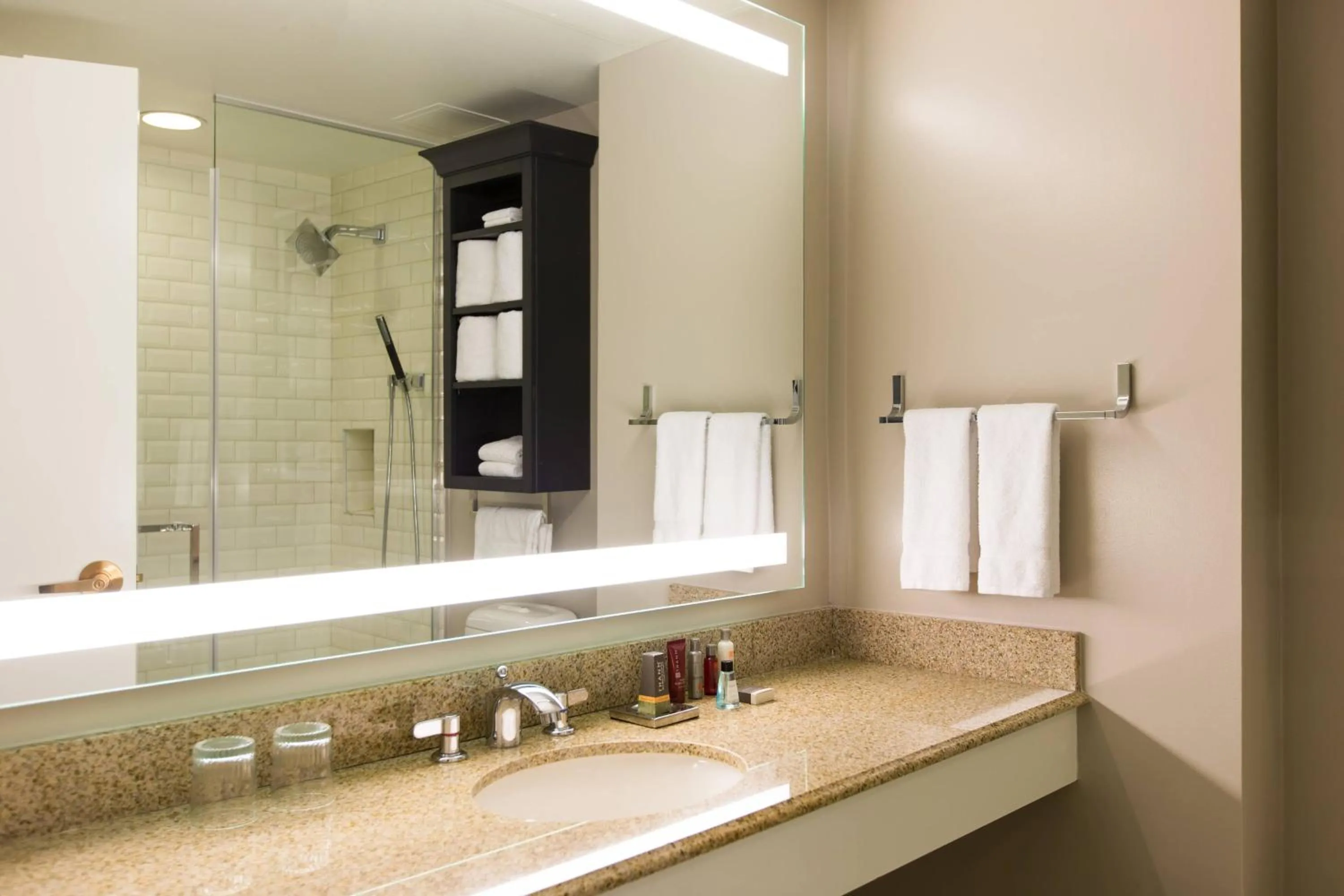 Bathroom in College Park Marriott Hotel & Conference Center