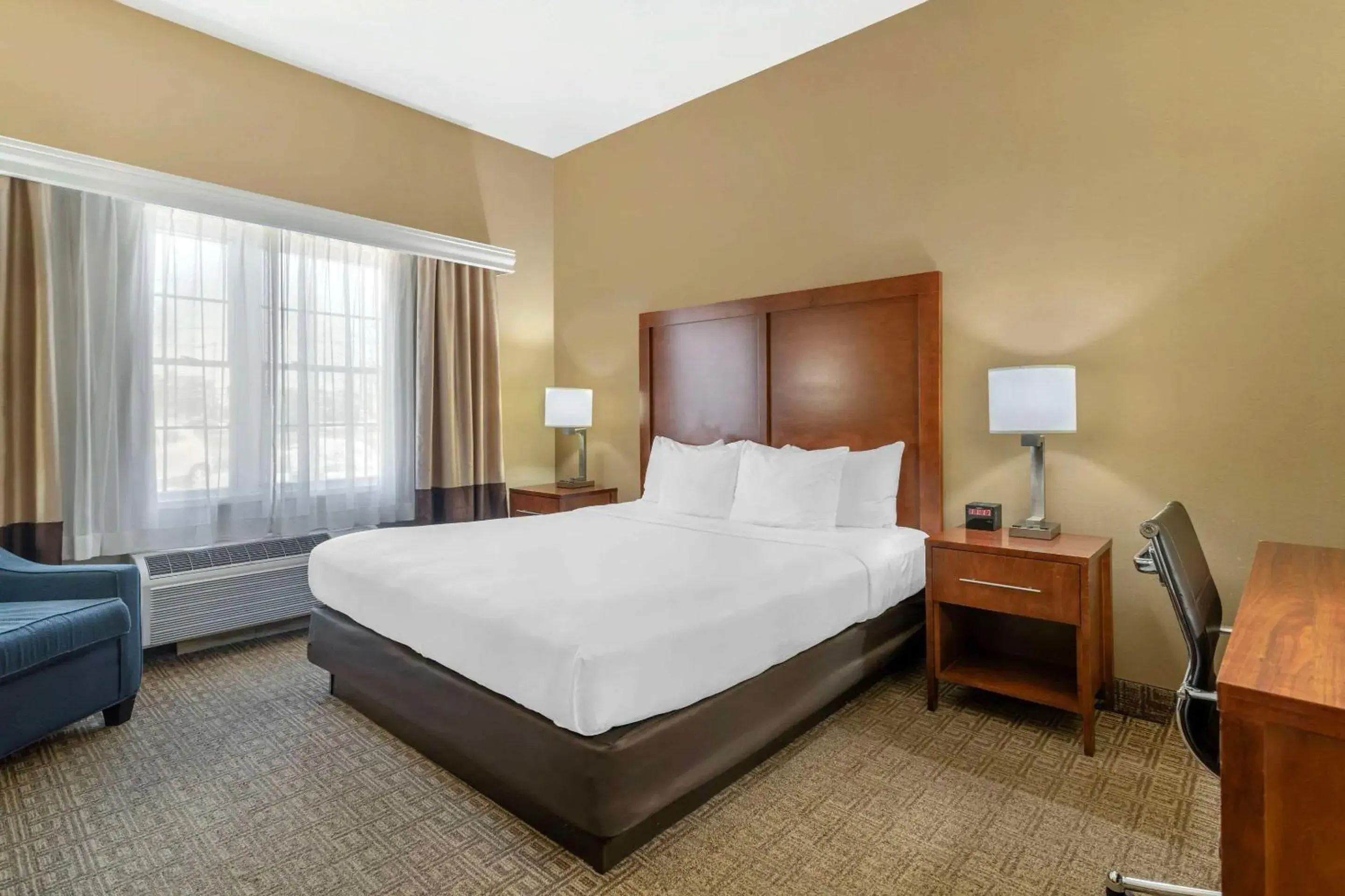 Bedroom, Bed in Comfort Inn & Suites Dover-Portsmouth Bedroom, Bed in Comfort Inn & Suites Dover-Portsmouth