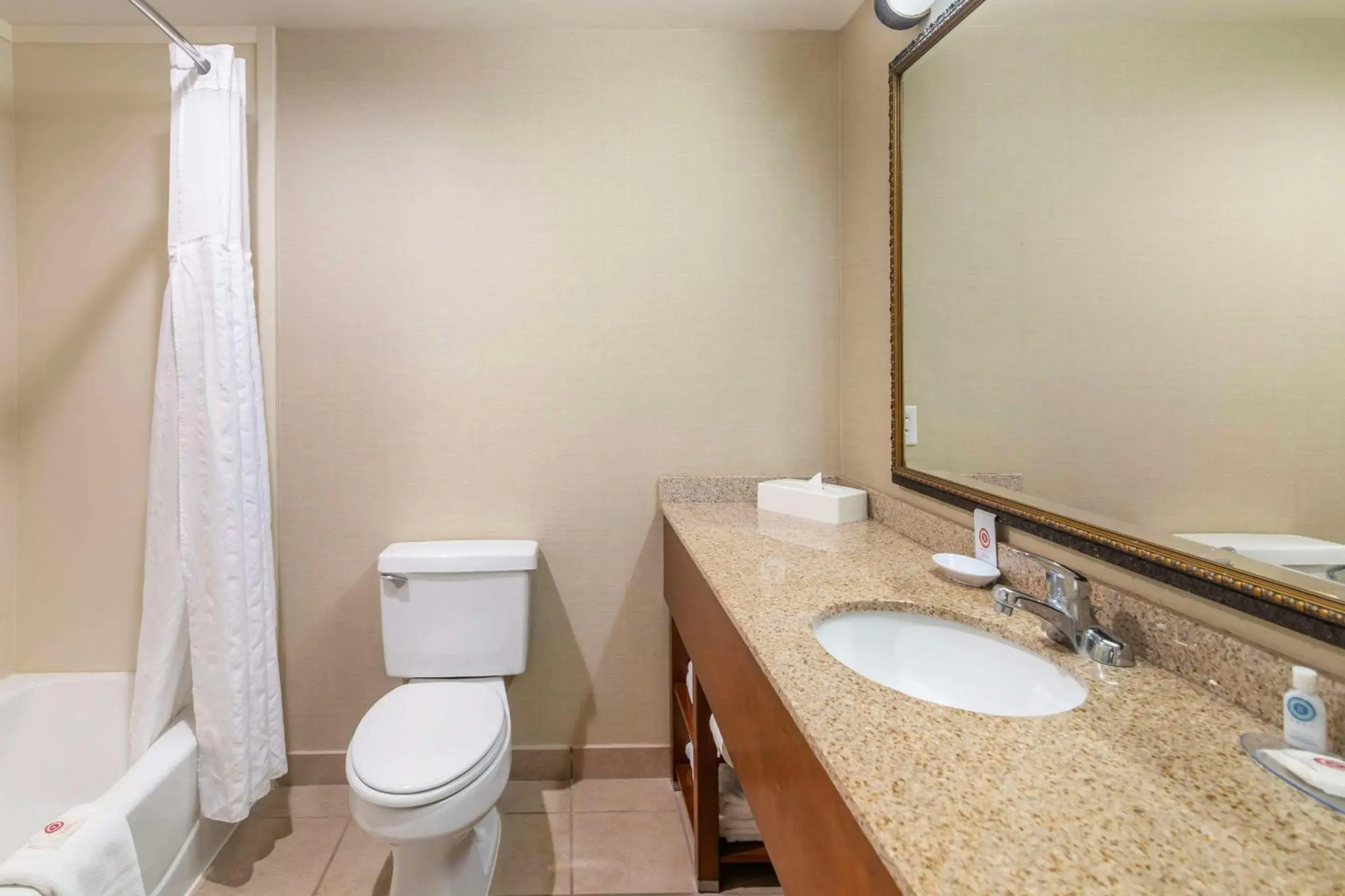 Bedroom in Comfort Inn & Suites Dover-Portsmouth Bedroom in Comfort Inn & Suites Dover-Portsmouth