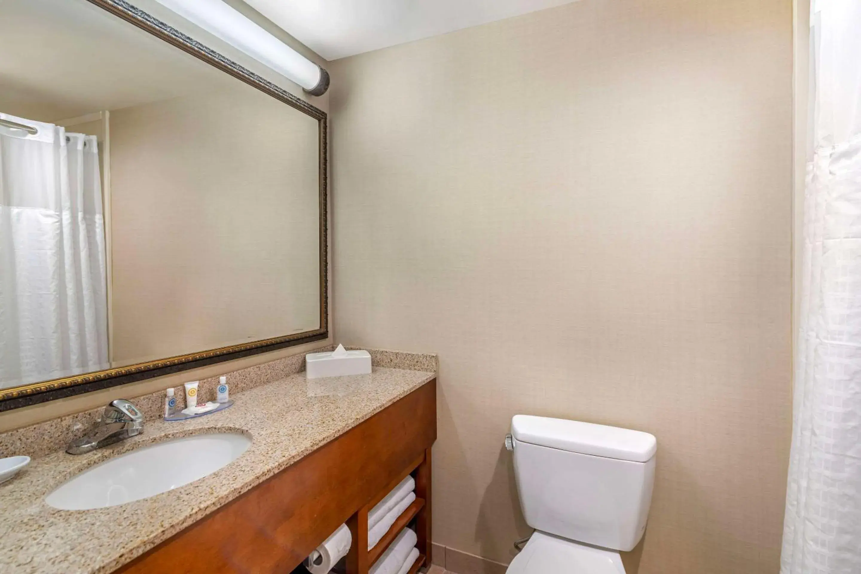 Bedroom in Comfort Inn & Suites Dover-Portsmouth Bedroom in Comfort Inn & Suites Dover-Portsmouth