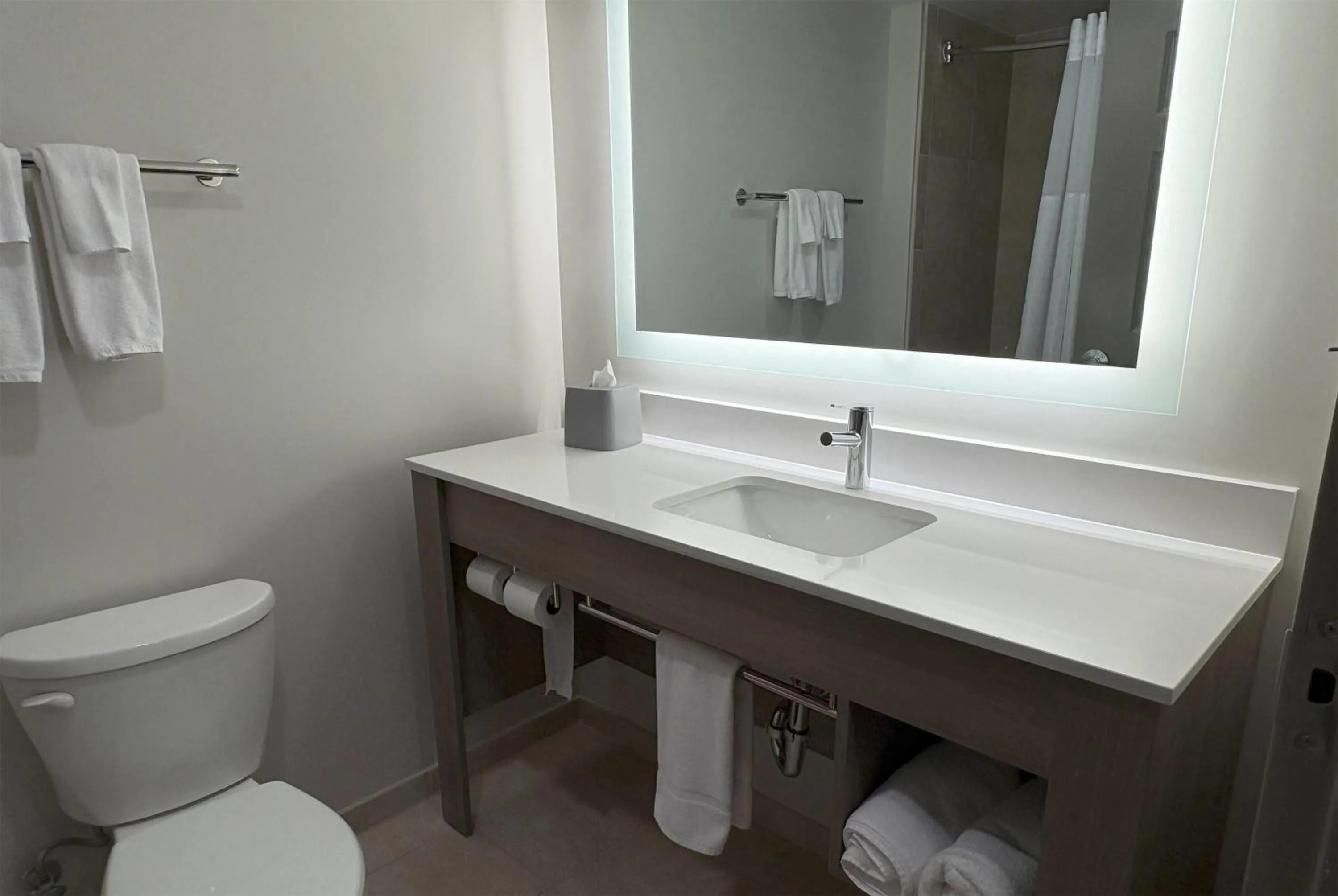 Bathroom in Wingate by Wyndham State Arena Raleigh/Cary Hotel