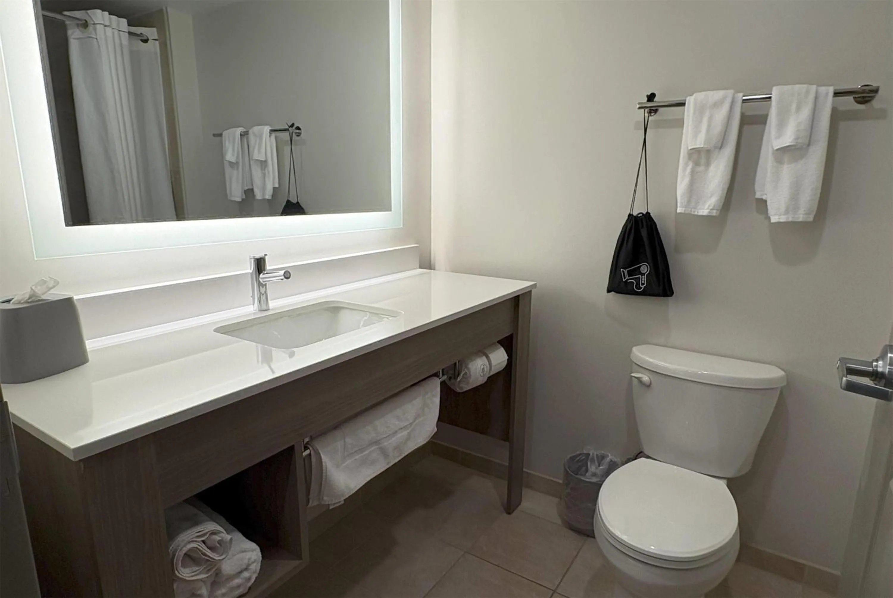 Bathroom in Wingate by Wyndham State Arena Raleigh/Cary Hotel