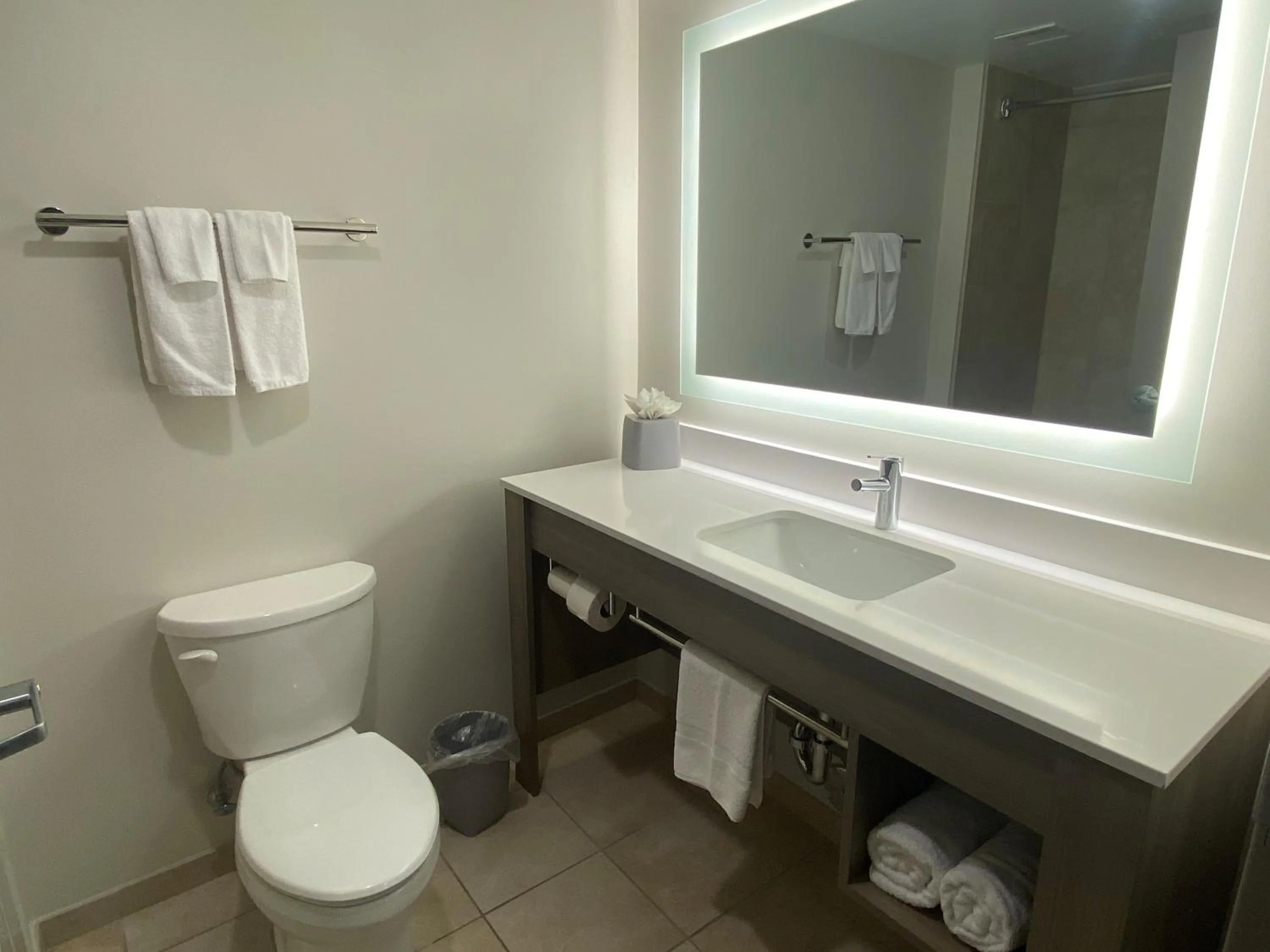 Bathroom in Wingate by Wyndham State Arena Raleigh/Cary Hotel