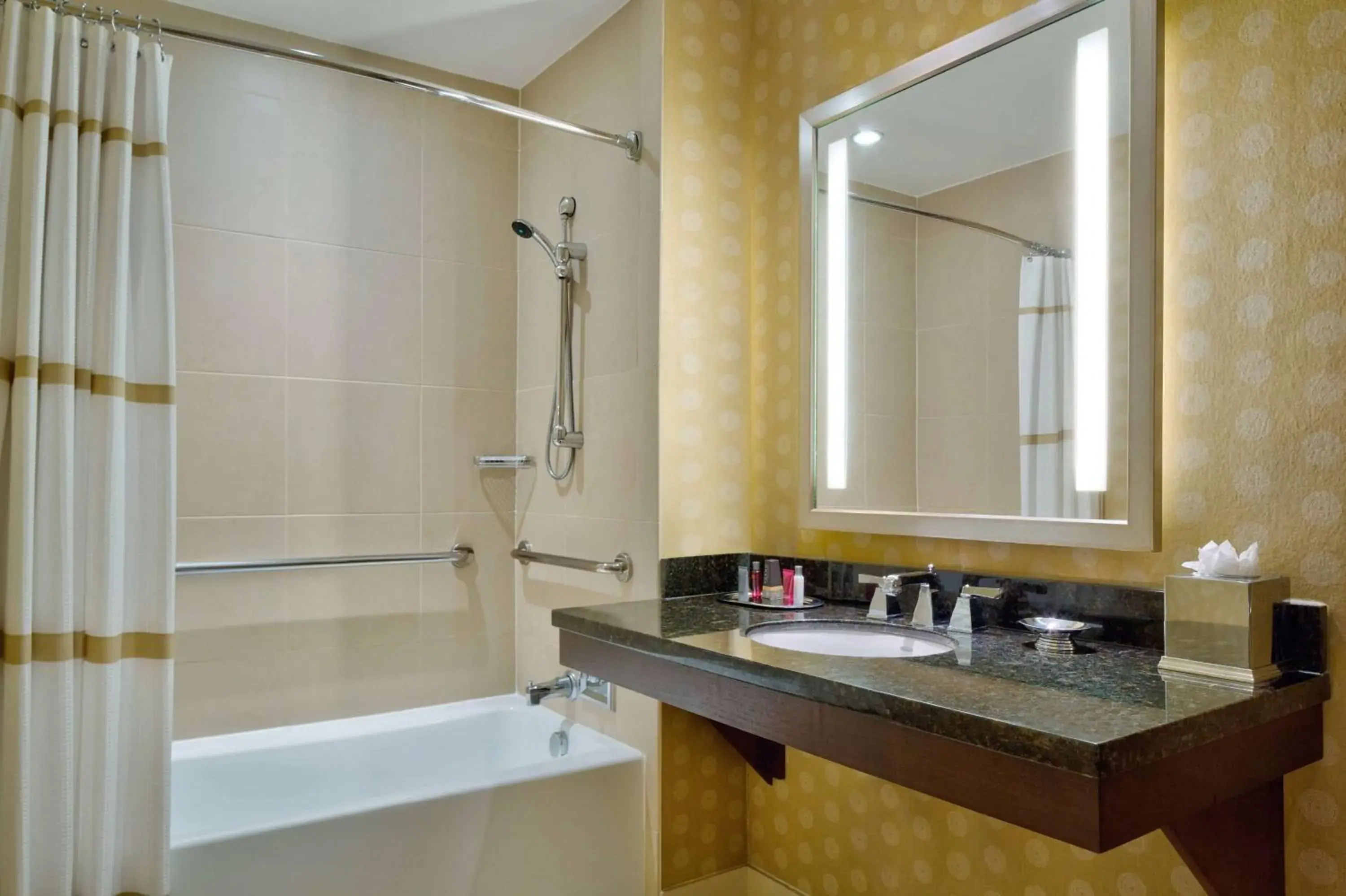 Bathroom in Wyndham Atlanta Buckhead Hotel & Conference Center Bathroom in Wyndham Atlanta Buckhead Hotel & Conference Center