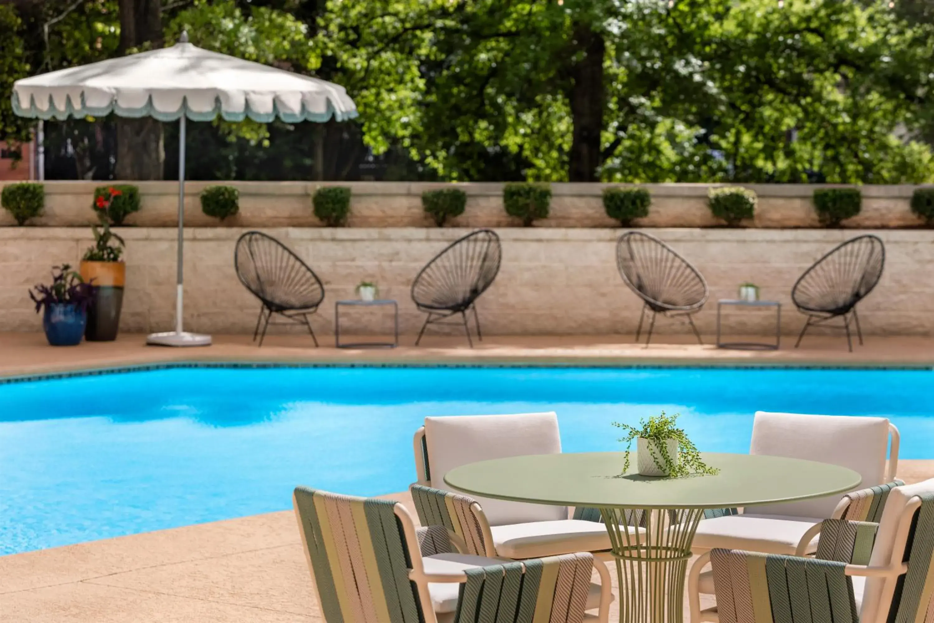 Swimming pool in The American Hotel Atlanta Downtown-a Doubletree by Hilton Swimming pool in The American Hotel Atlanta Downtown-a Doubletree by Hilton