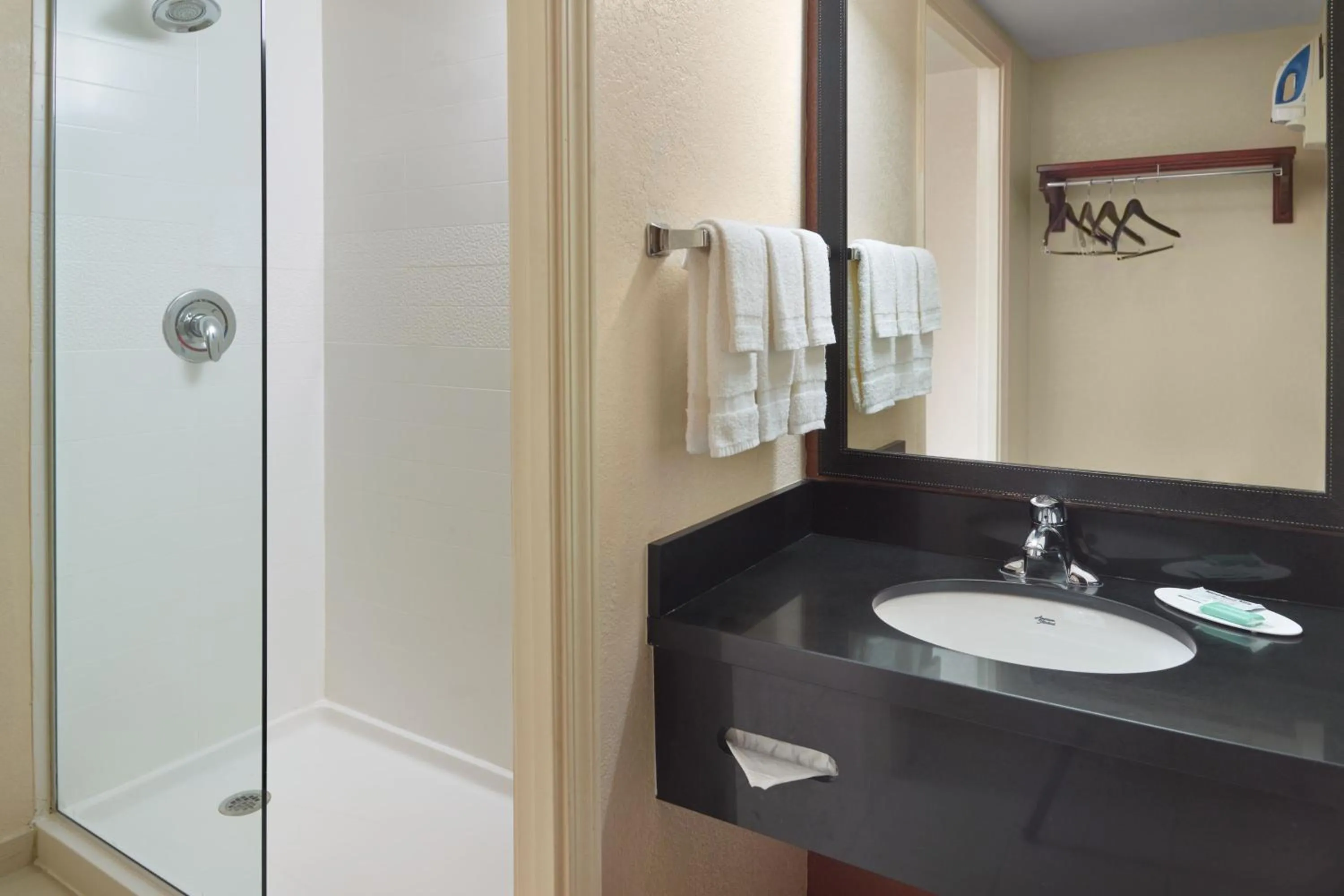 Bathroom in Fairfield Inn & Suites by Marriott Atlanta Buckhead