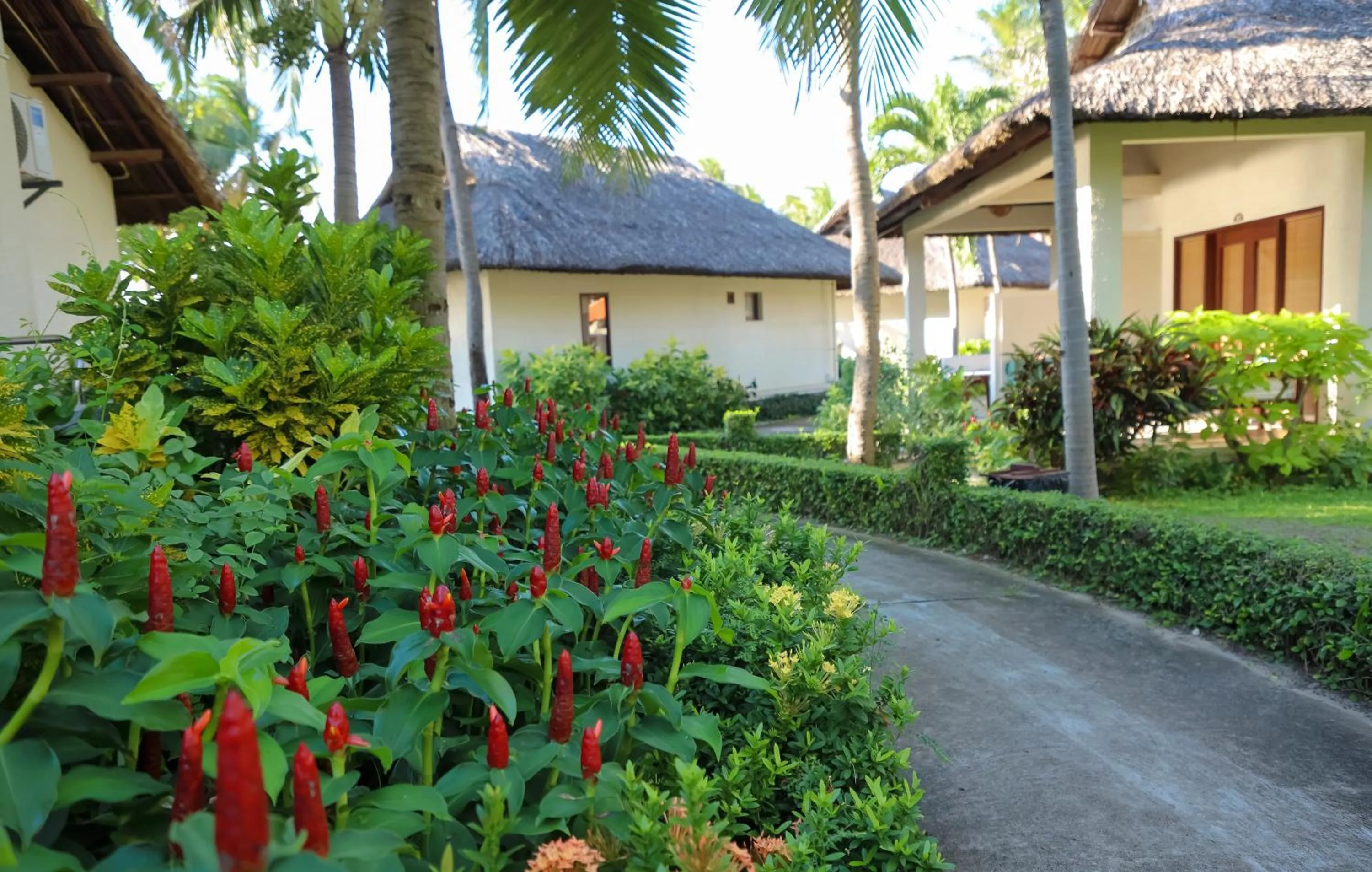 Garden in Blue Ocean Resort