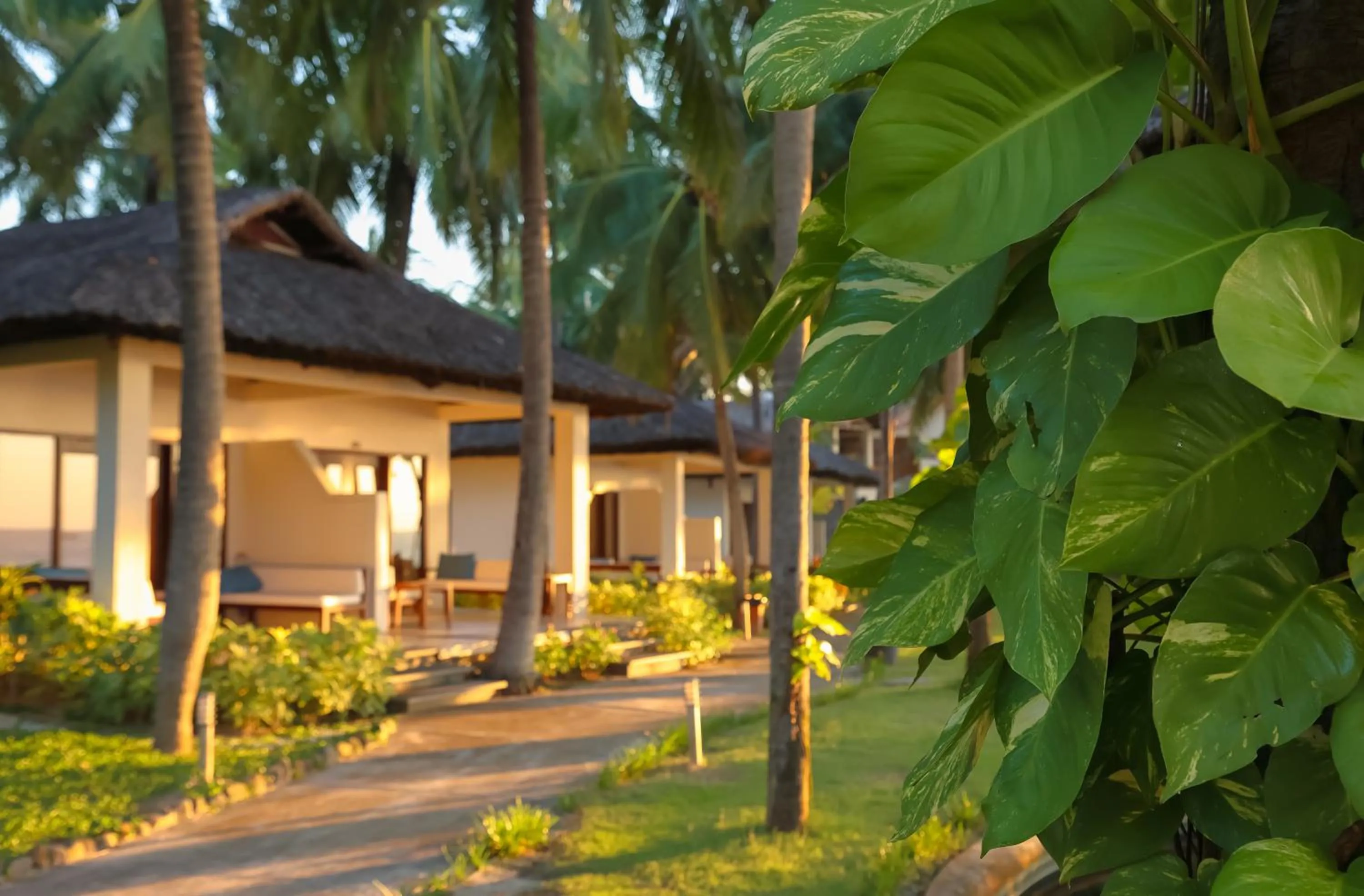 Garden in Blue Ocean Resort