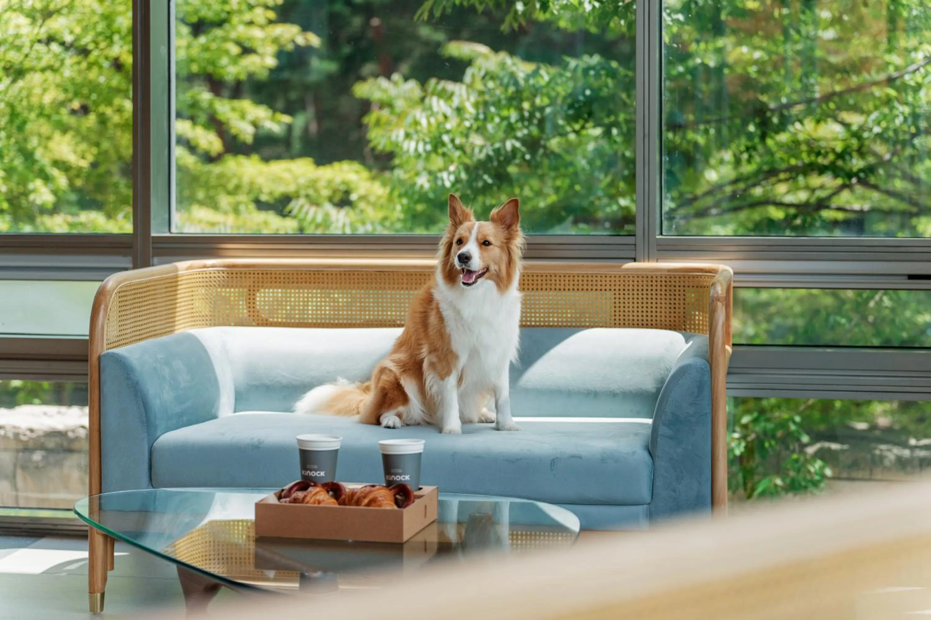 Restaurant/places to eat in Kinock