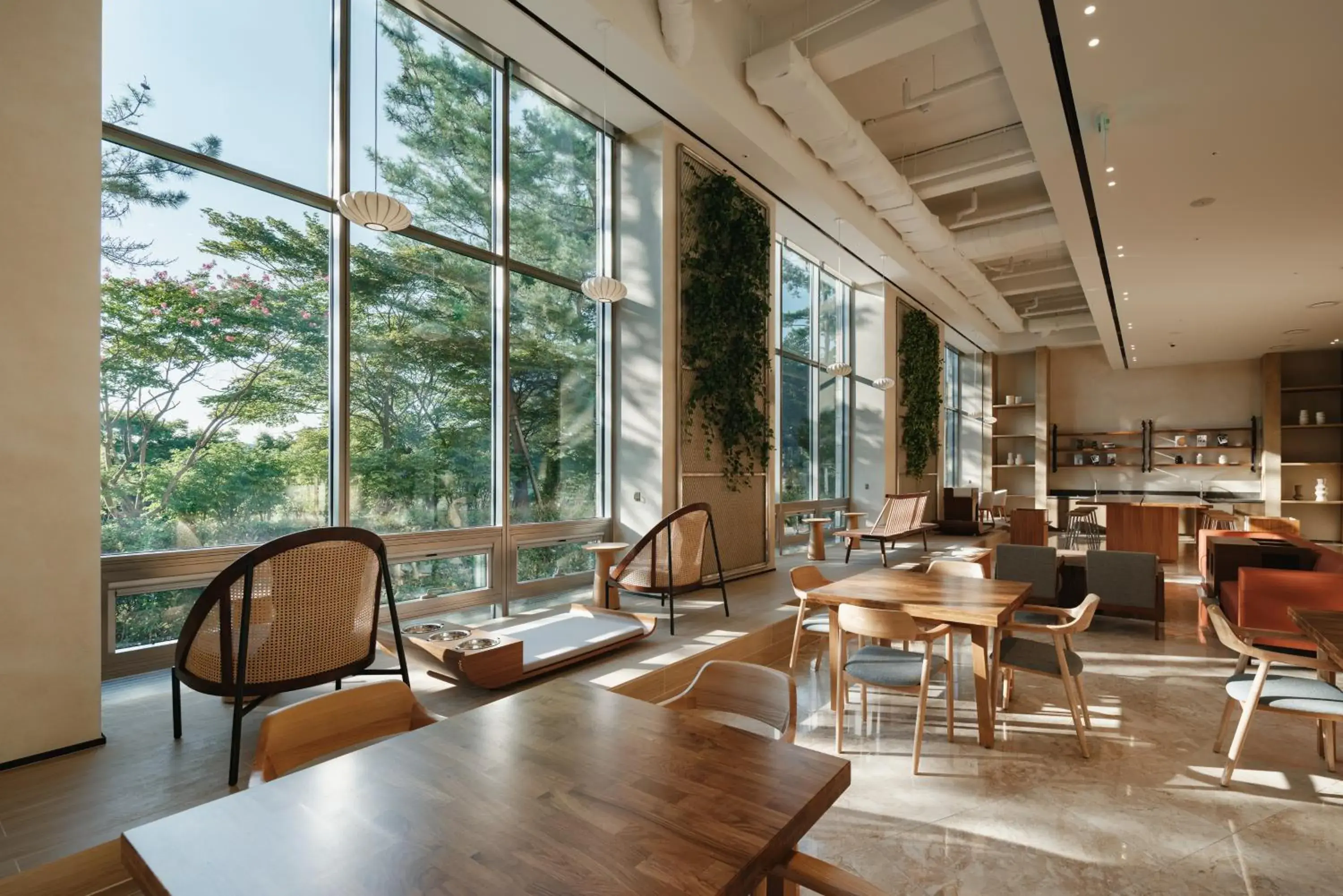 Restaurant/places to eat in Kinock Restaurant/places to eat in Kinock
