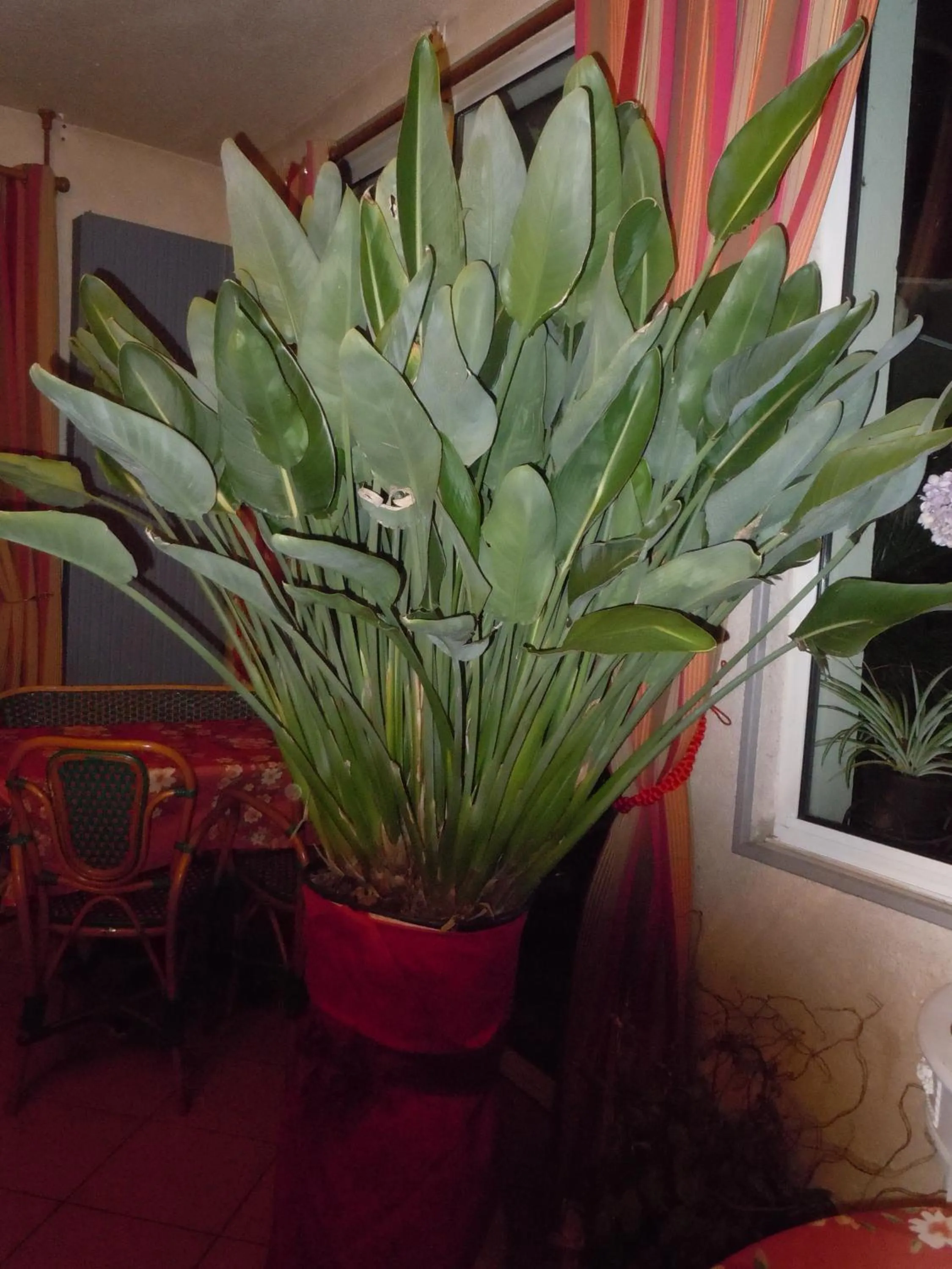 Decorative detail in La Croix Blanche