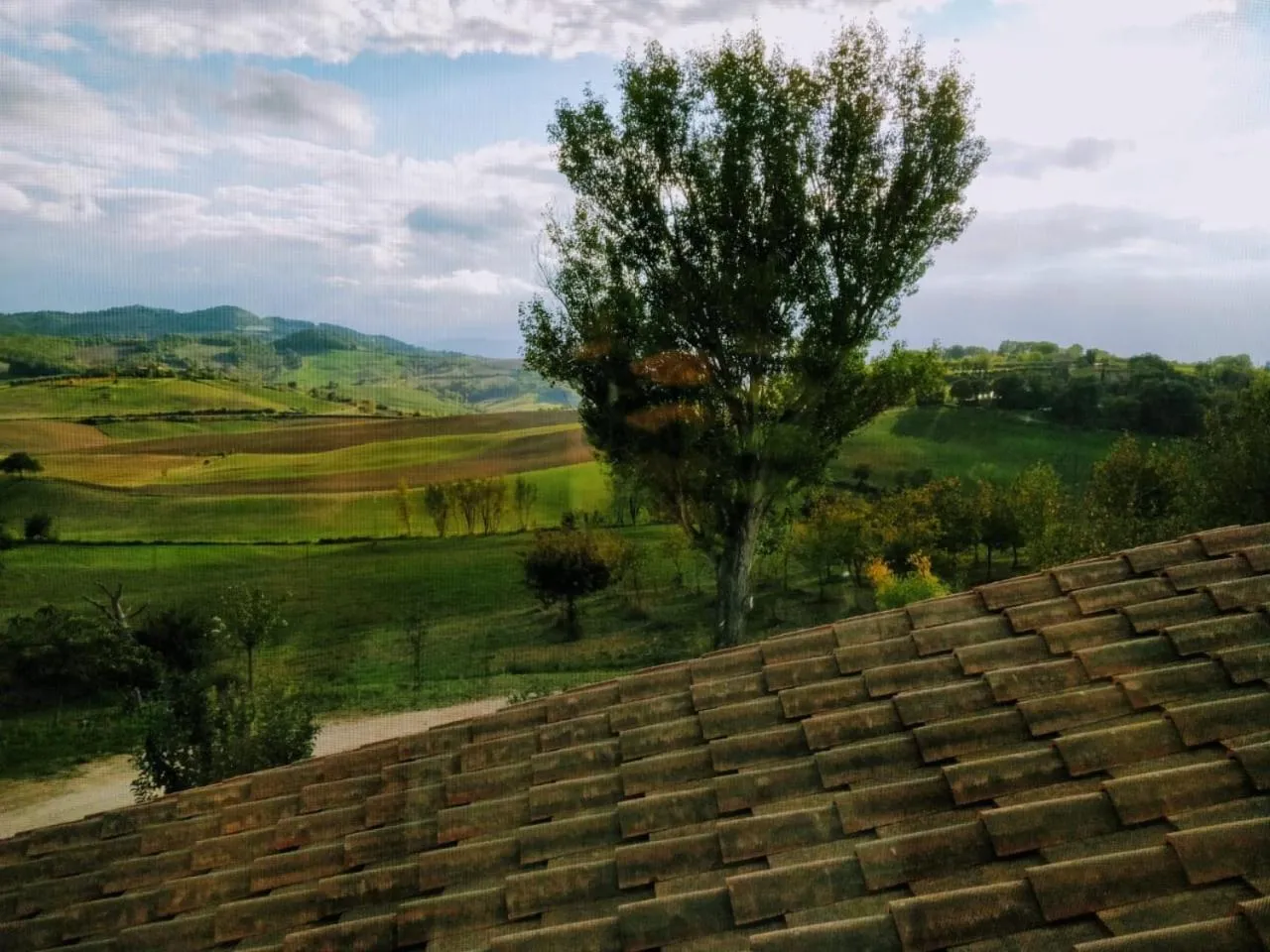 Garden view in La casa di Arianna