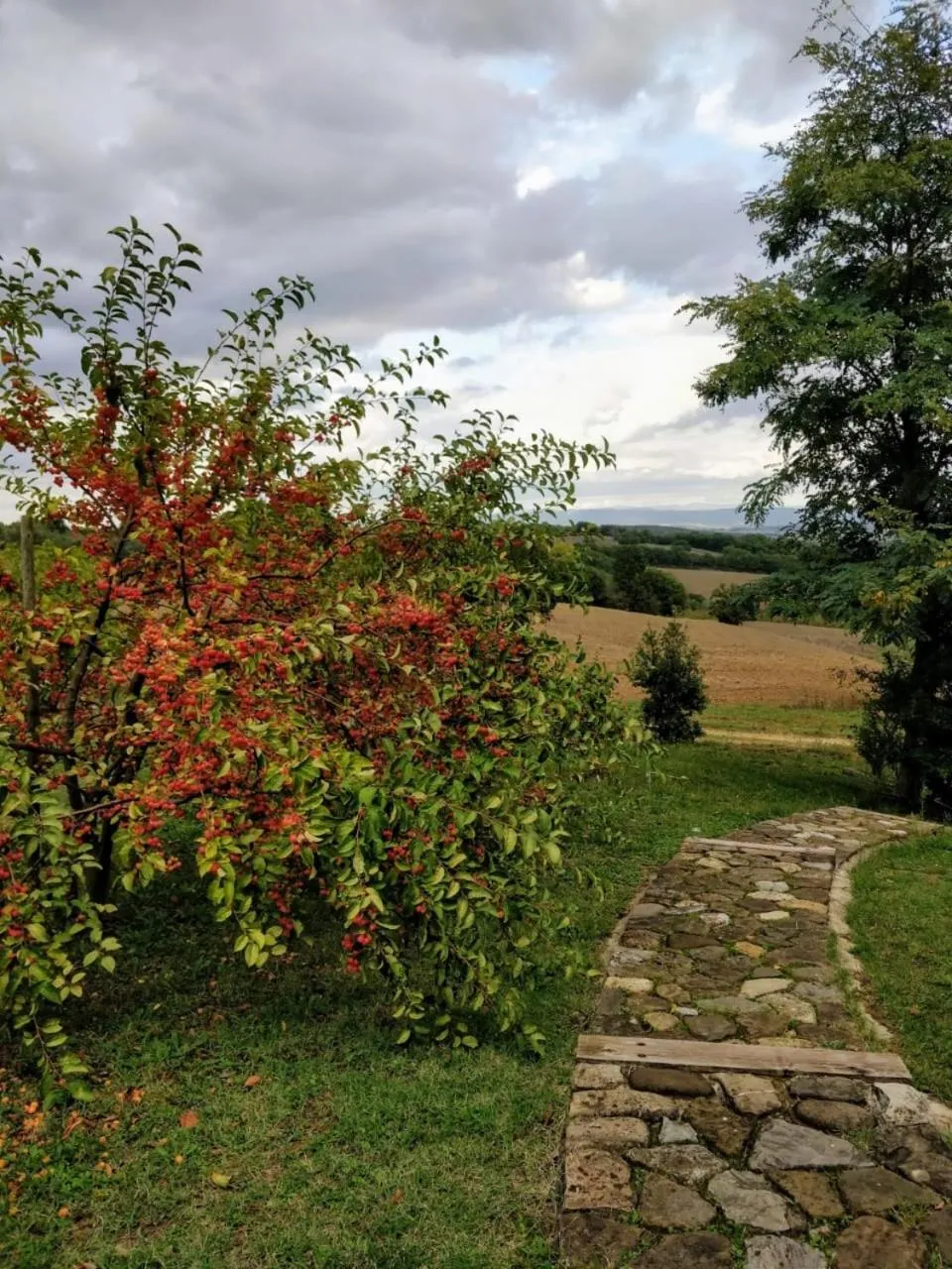 Garden in La casa di Arianna