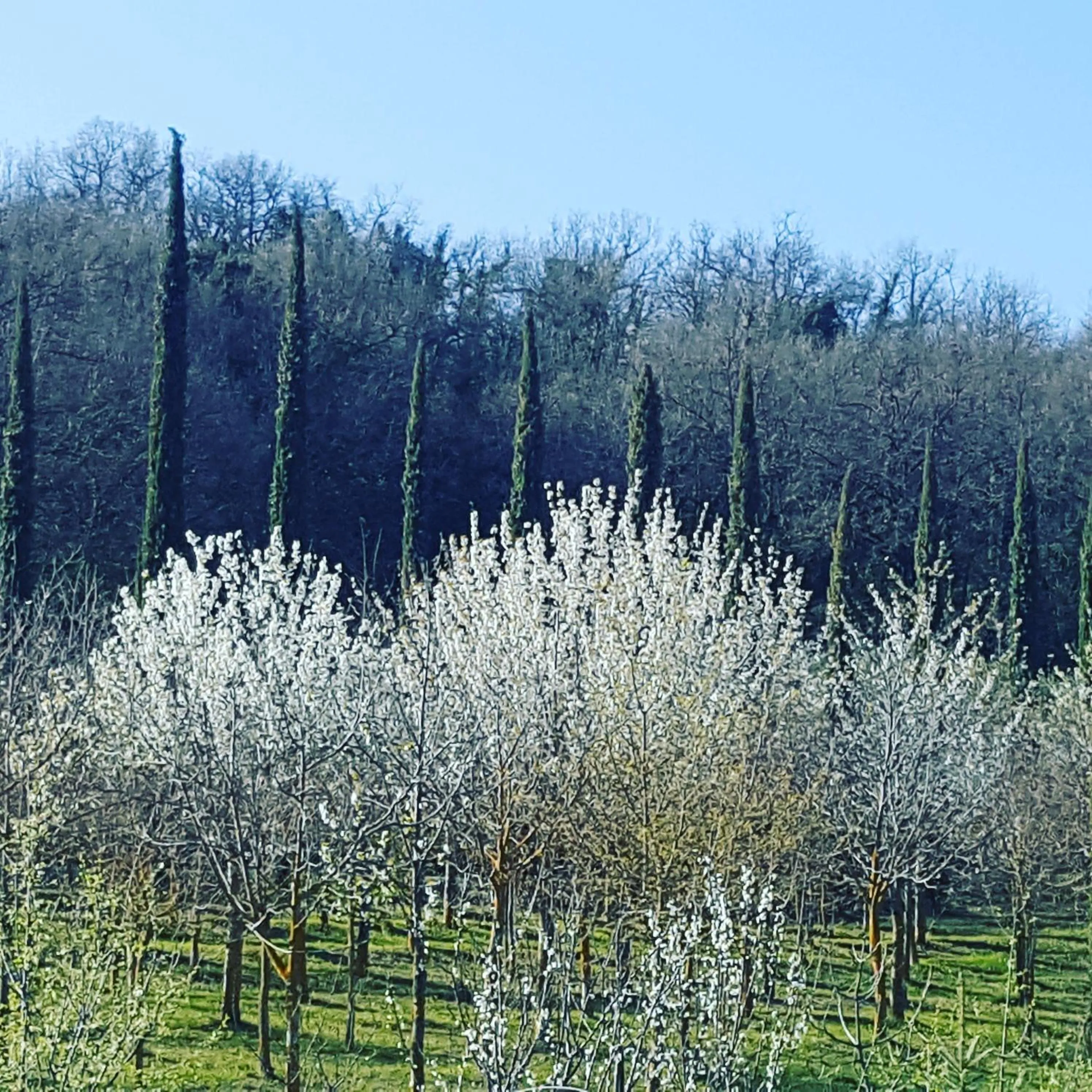 Natural landscape in La casa di Arianna