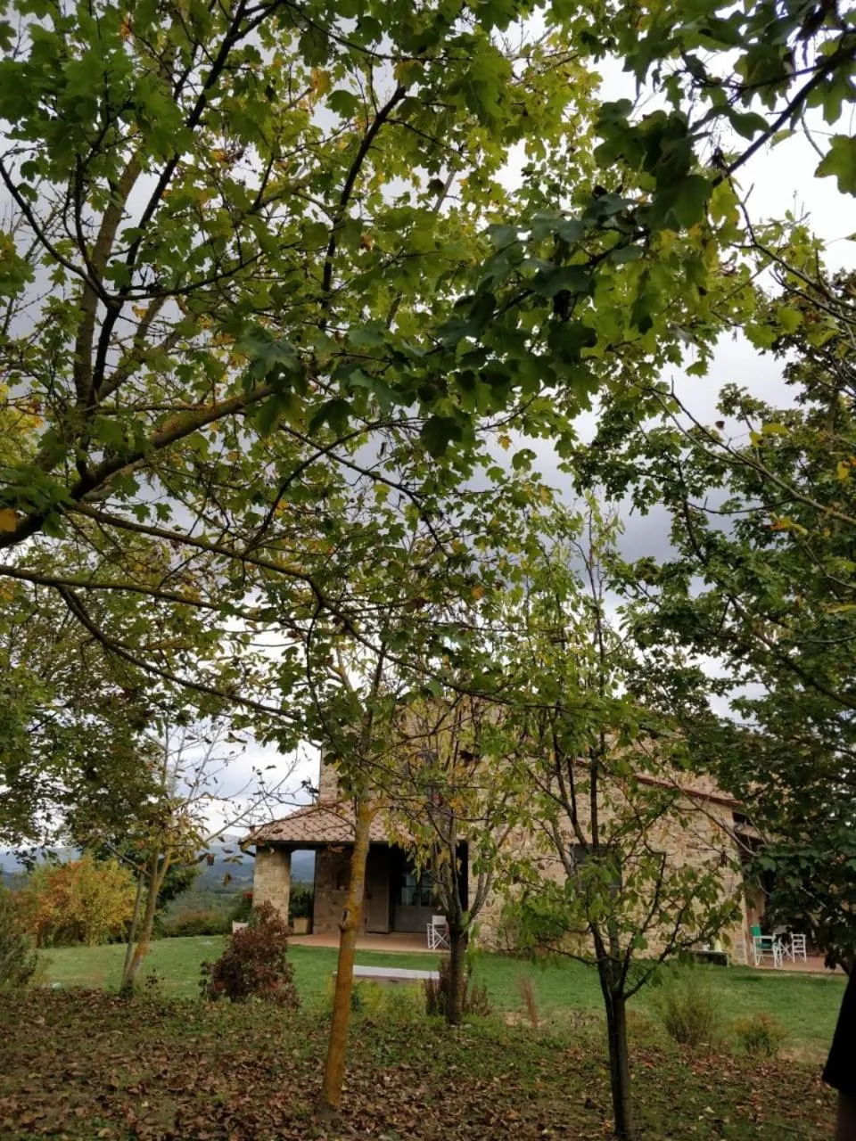 Property building in La casa di Arianna