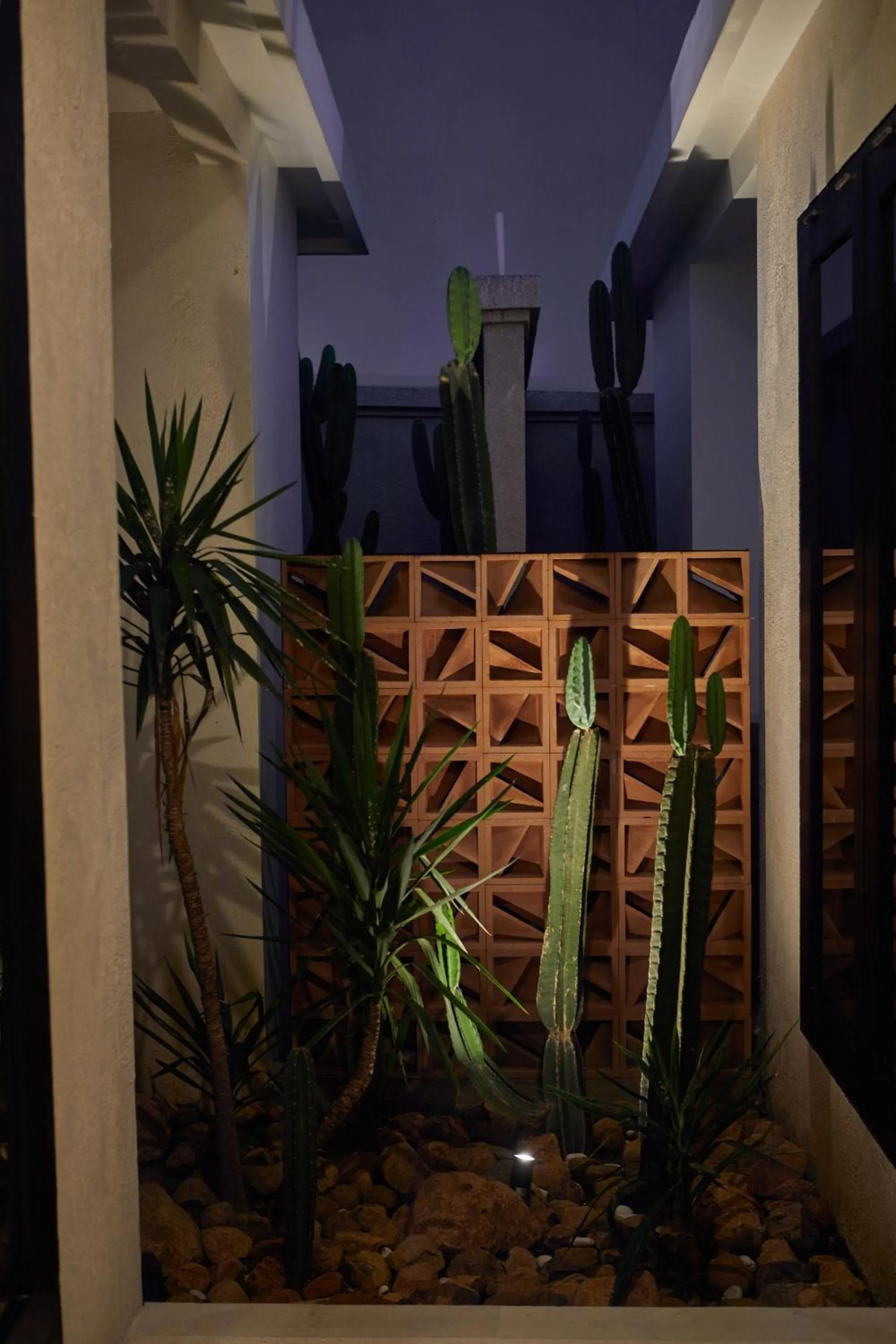 Garden in Ahimsa Beach