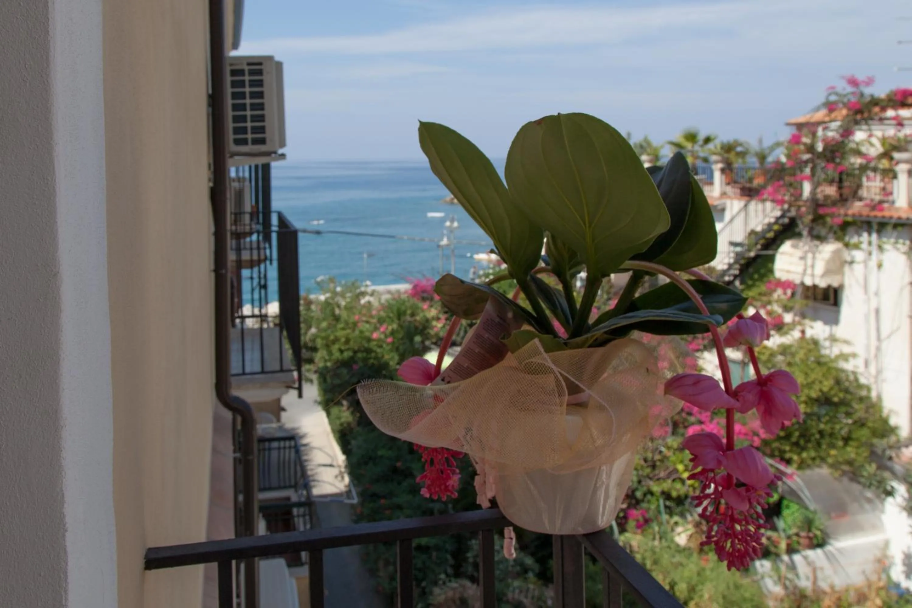 Apartment with Sea View in Donna Lea