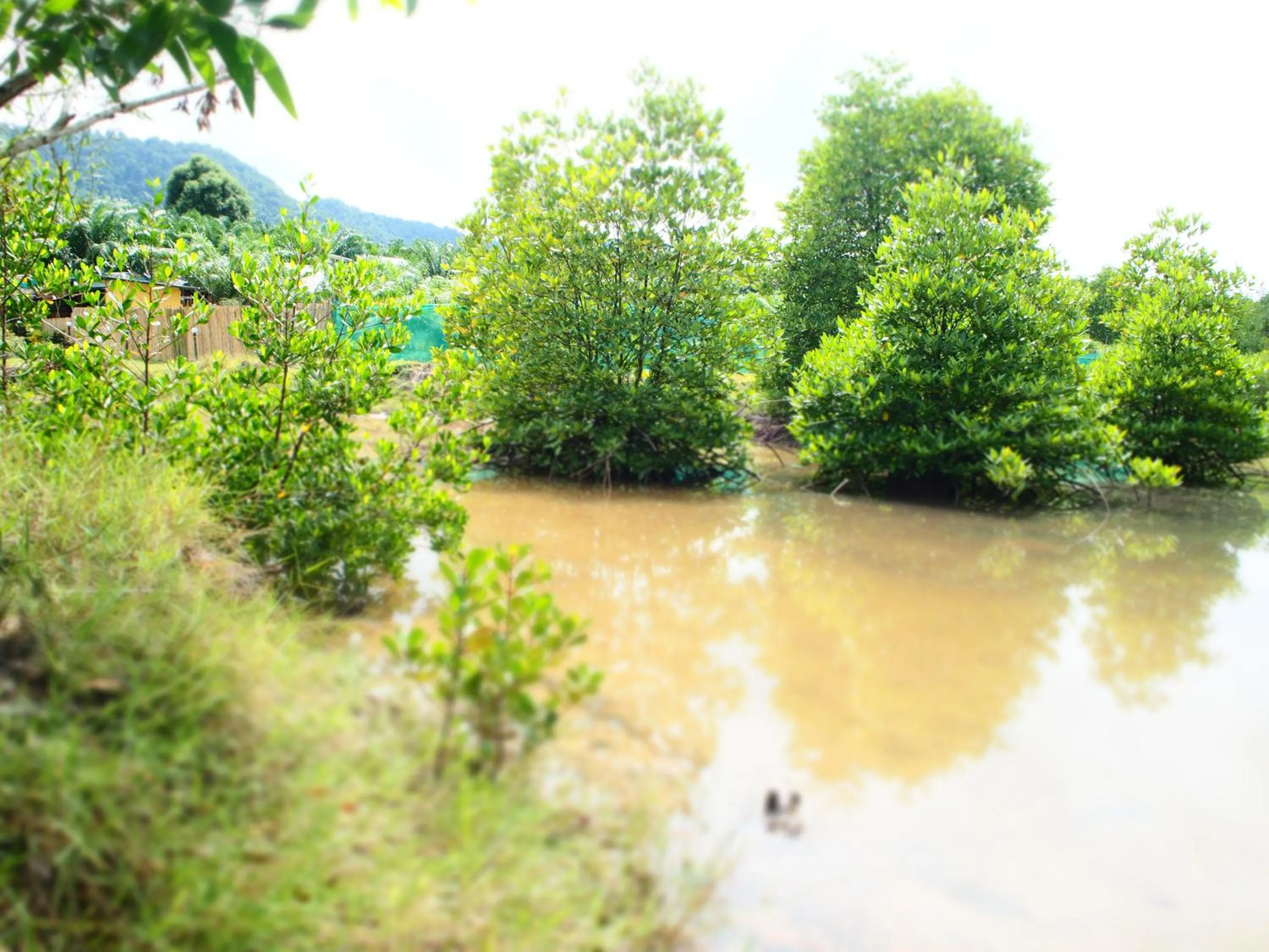 Other in YaoIsland Resort and Farm