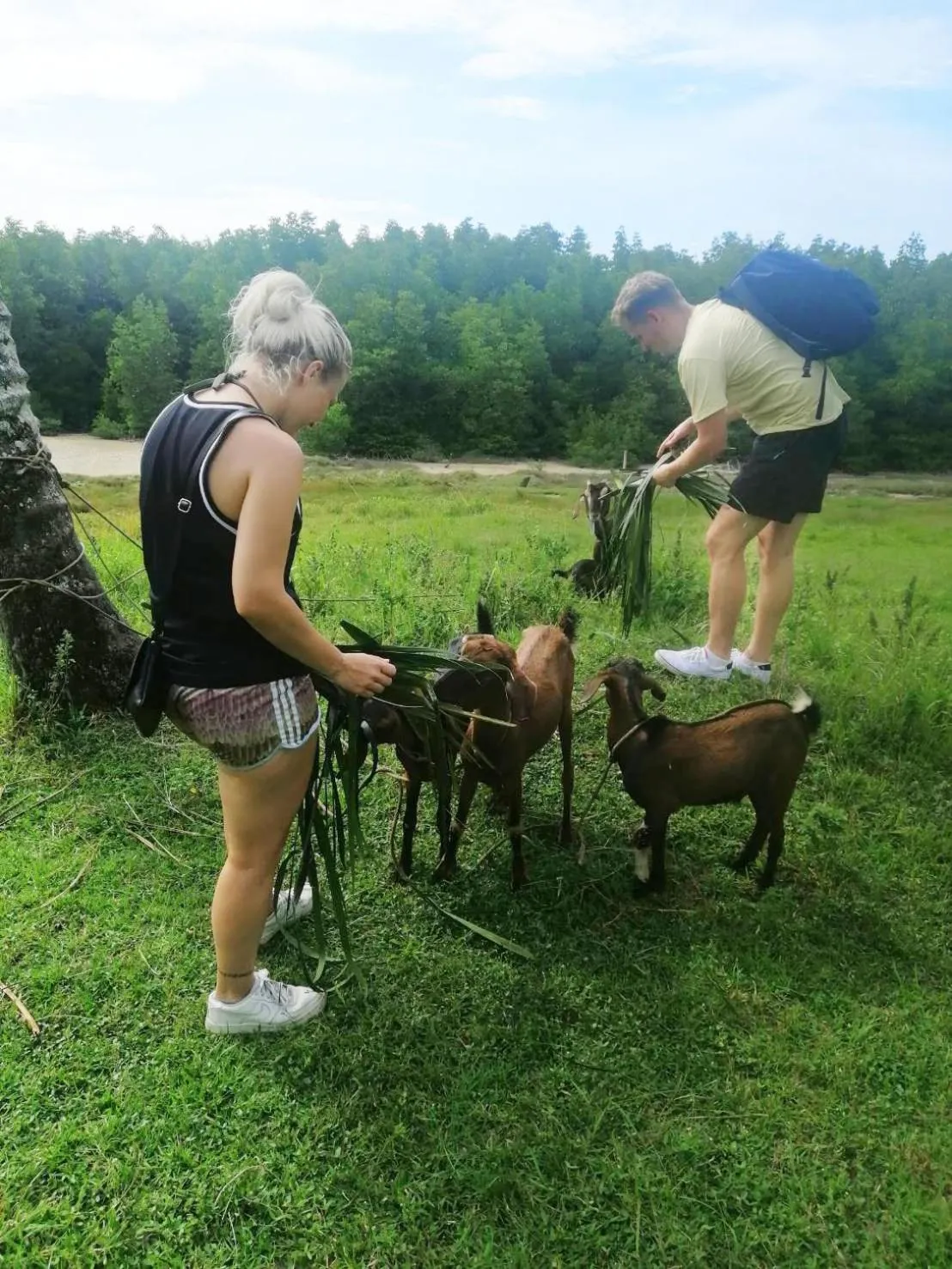 Activities in YaoIsland Resort and Farm