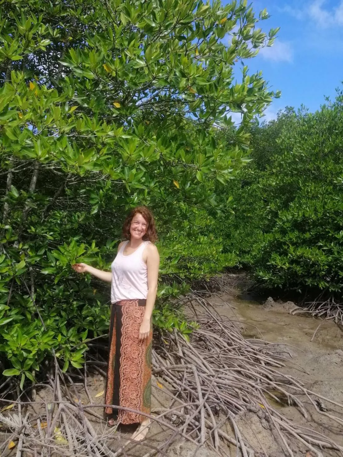 Activities in YaoIsland Resort and Farm