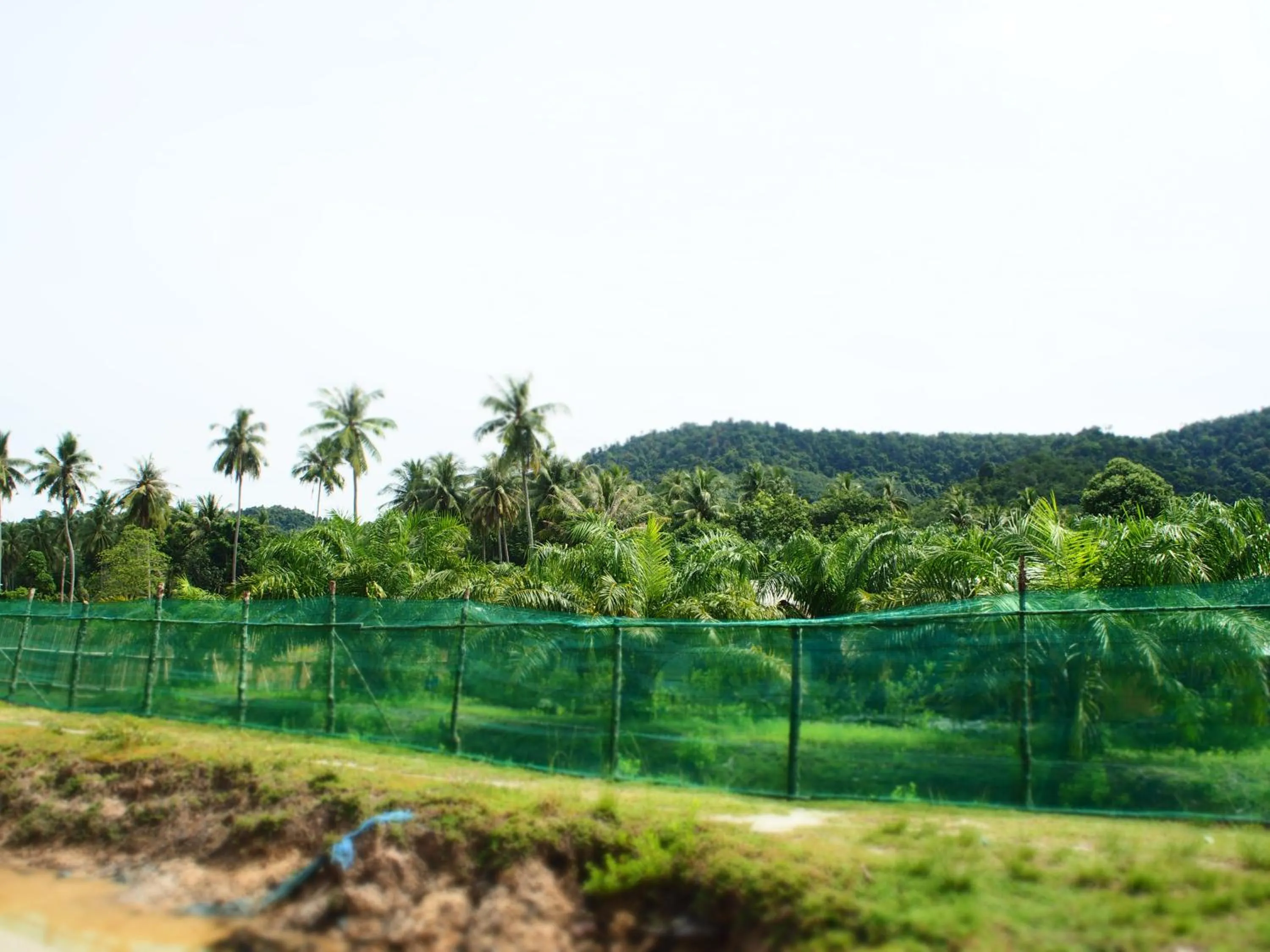 Natural landscape in YaoIsland Resort and Farm