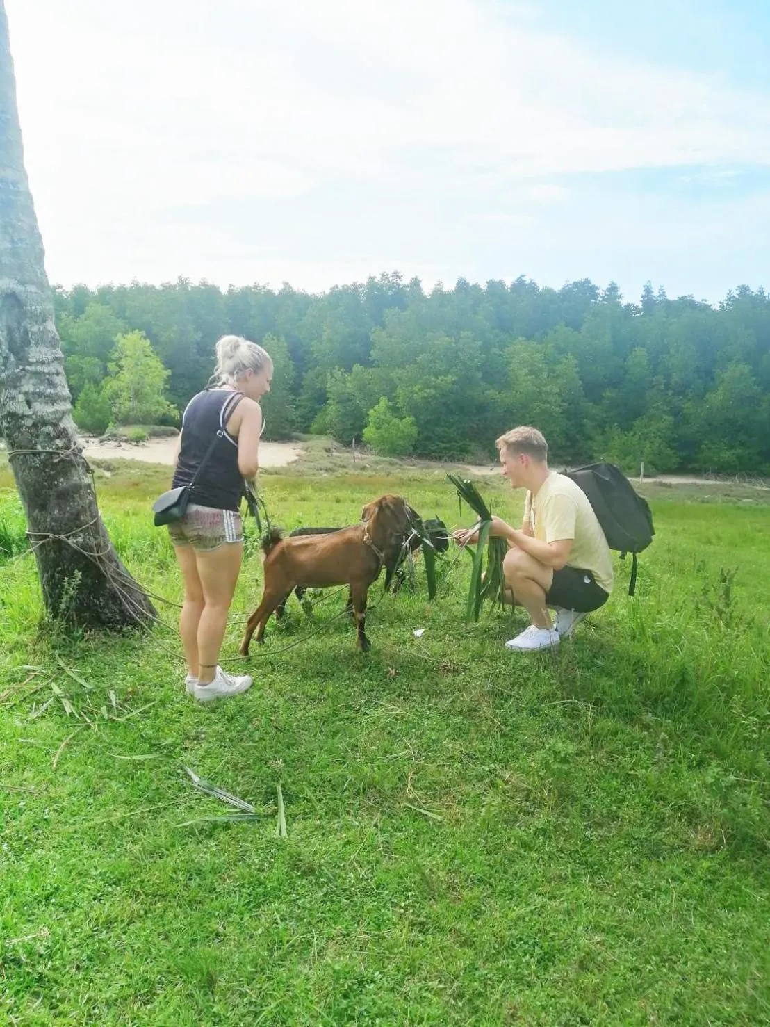 Activities in YaoIsland Resort and Farm