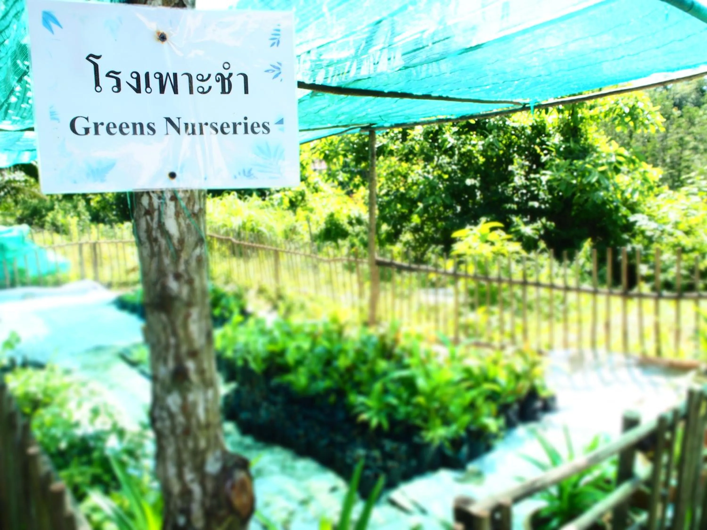 Decorative detail in YaoIsland Resort and Farm