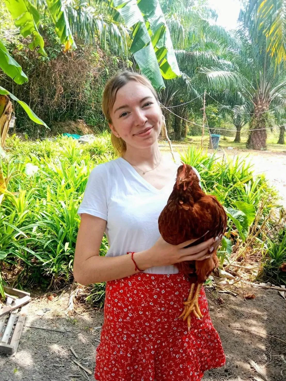 Activities in YaoIsland Resort and Farm