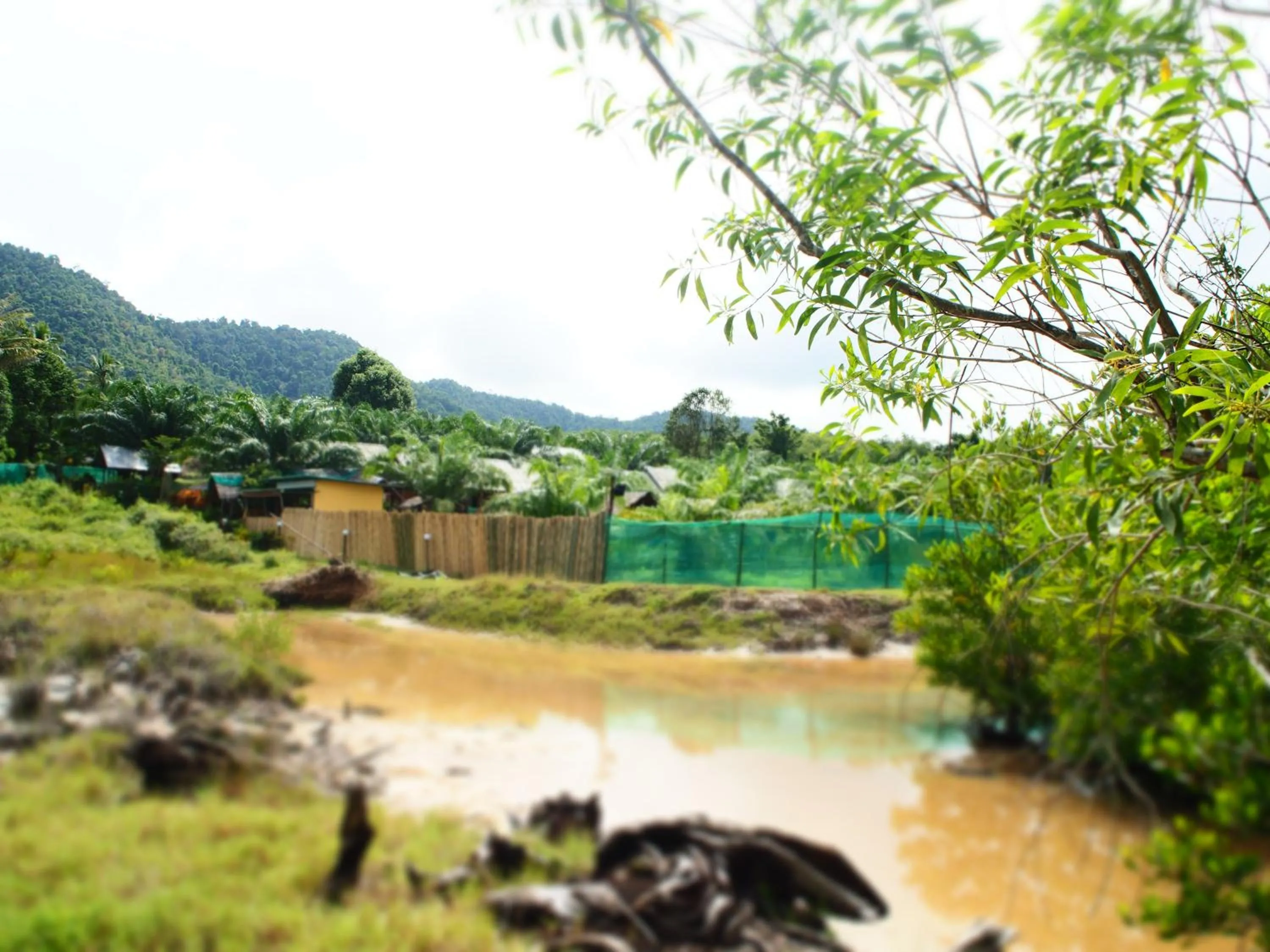 Natural landscape in YaoIsland Resort and Farm