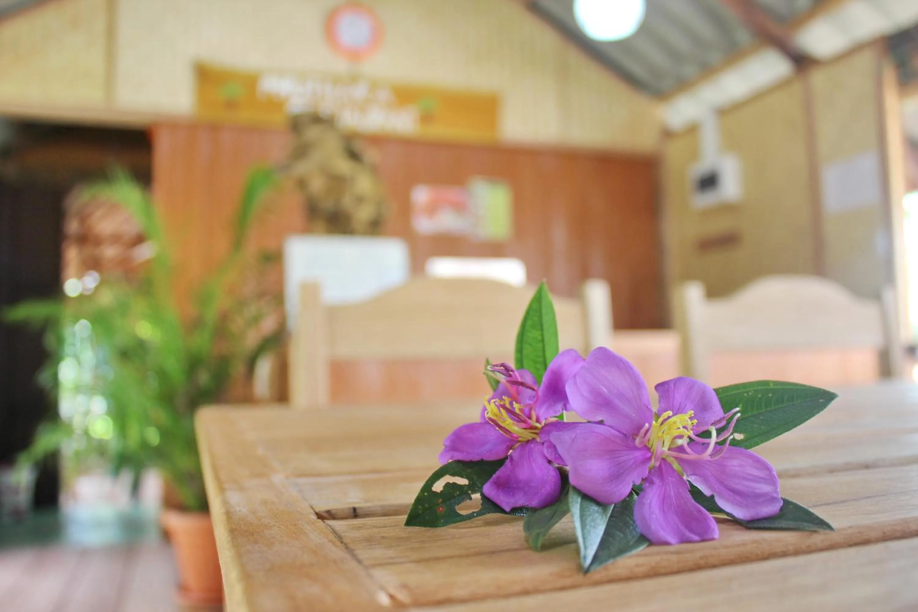 Lobby or reception in YaoIsland Resort and Farm