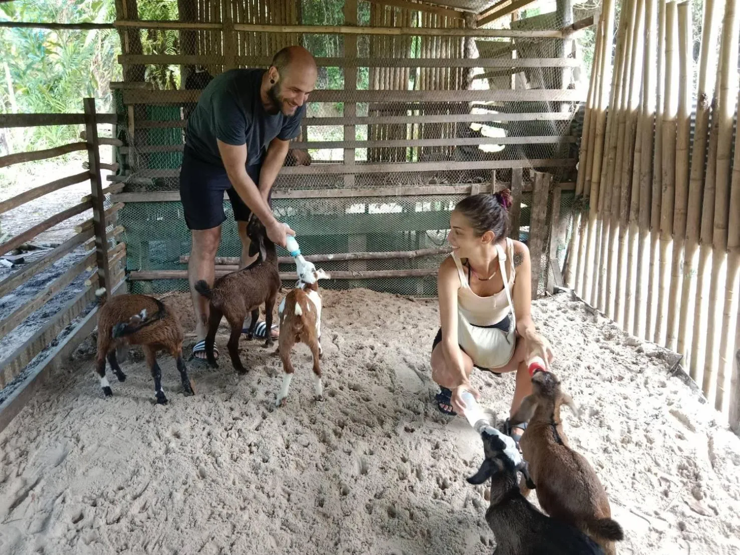 Activities in YaoIsland Resort and Farm