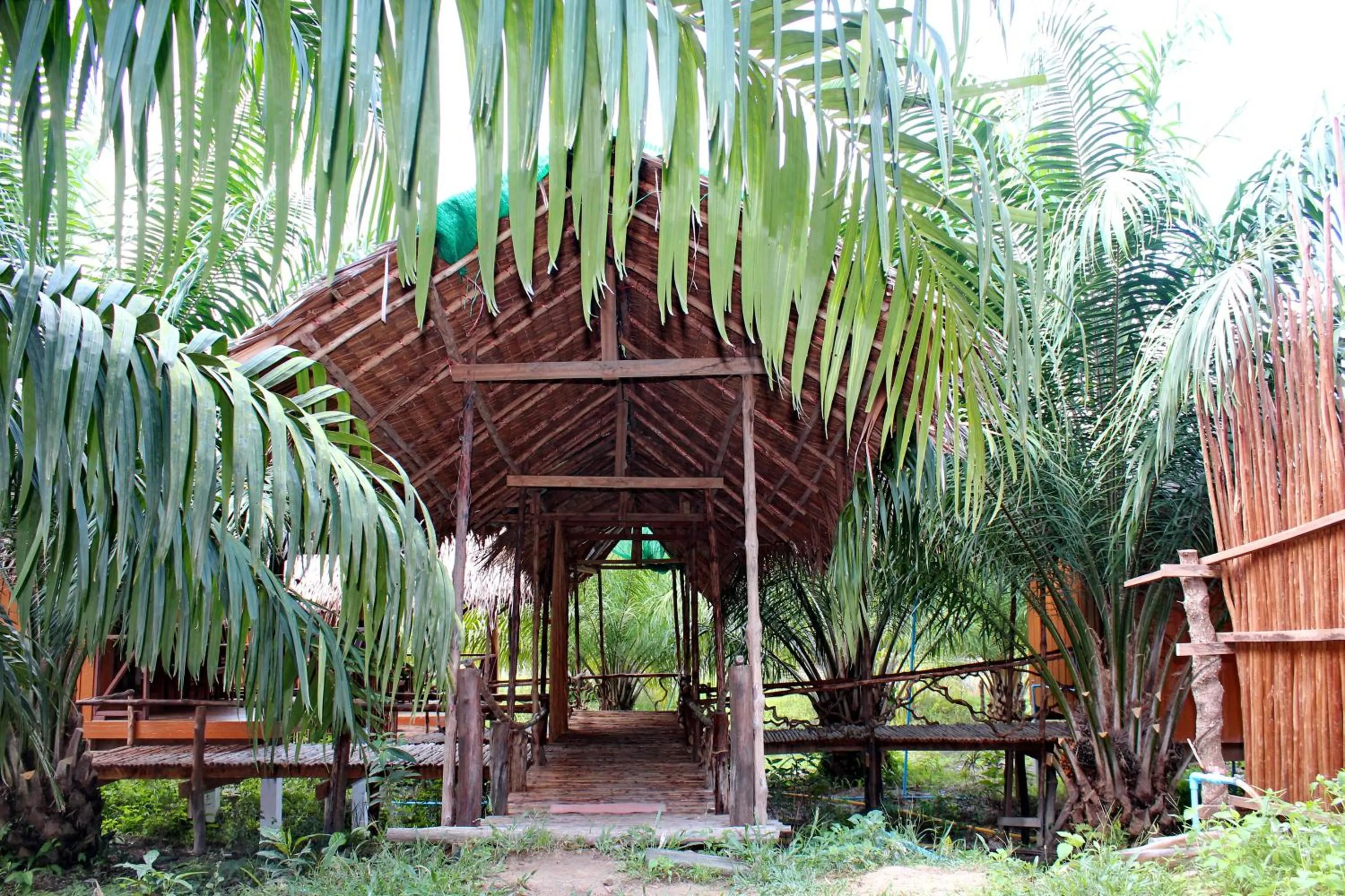 On site in YaoIsland Resort and Farm
